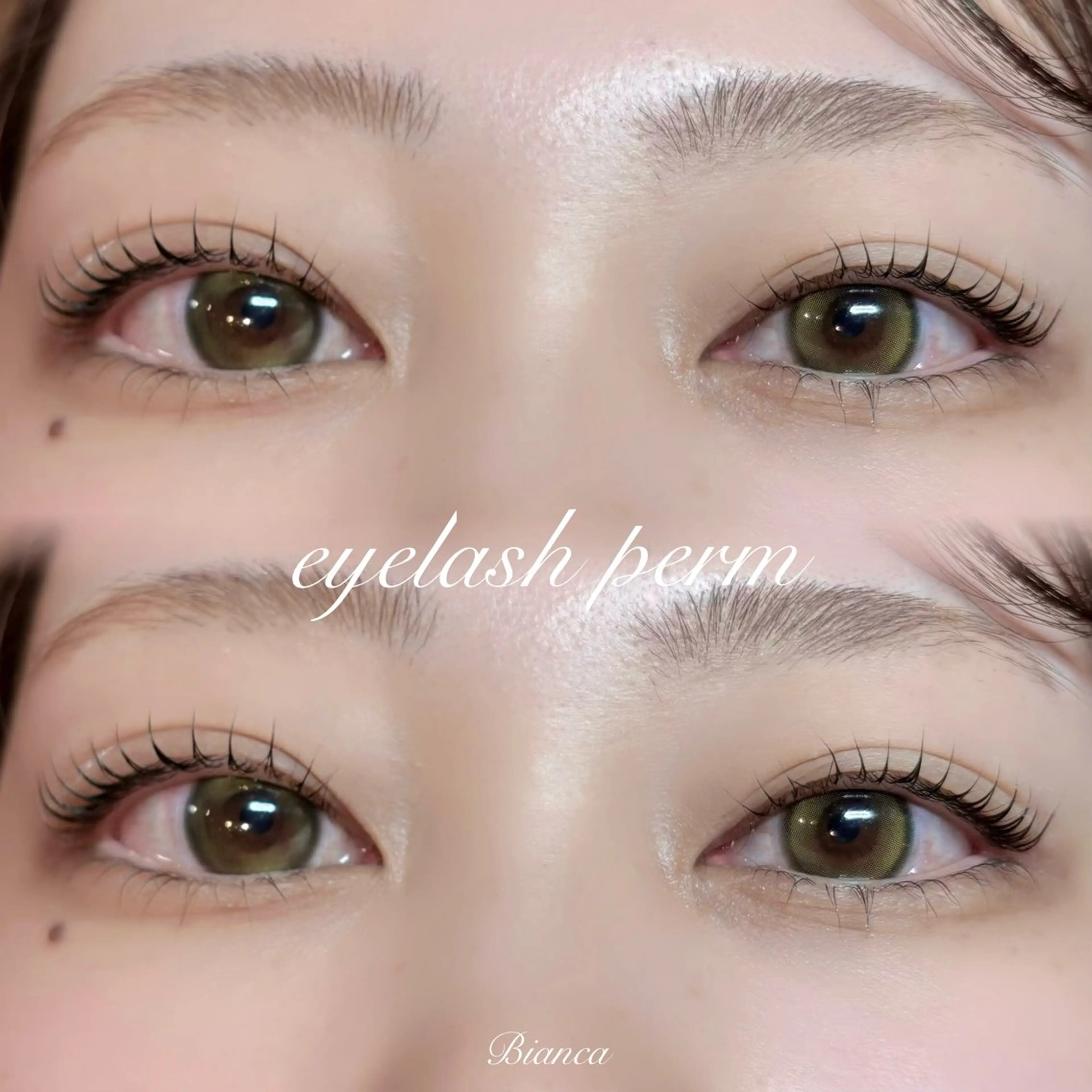 マツエク・マツパ まつげパーマ BIANCA ໒꒱ chihiroのマツエク・マツパデザイン
