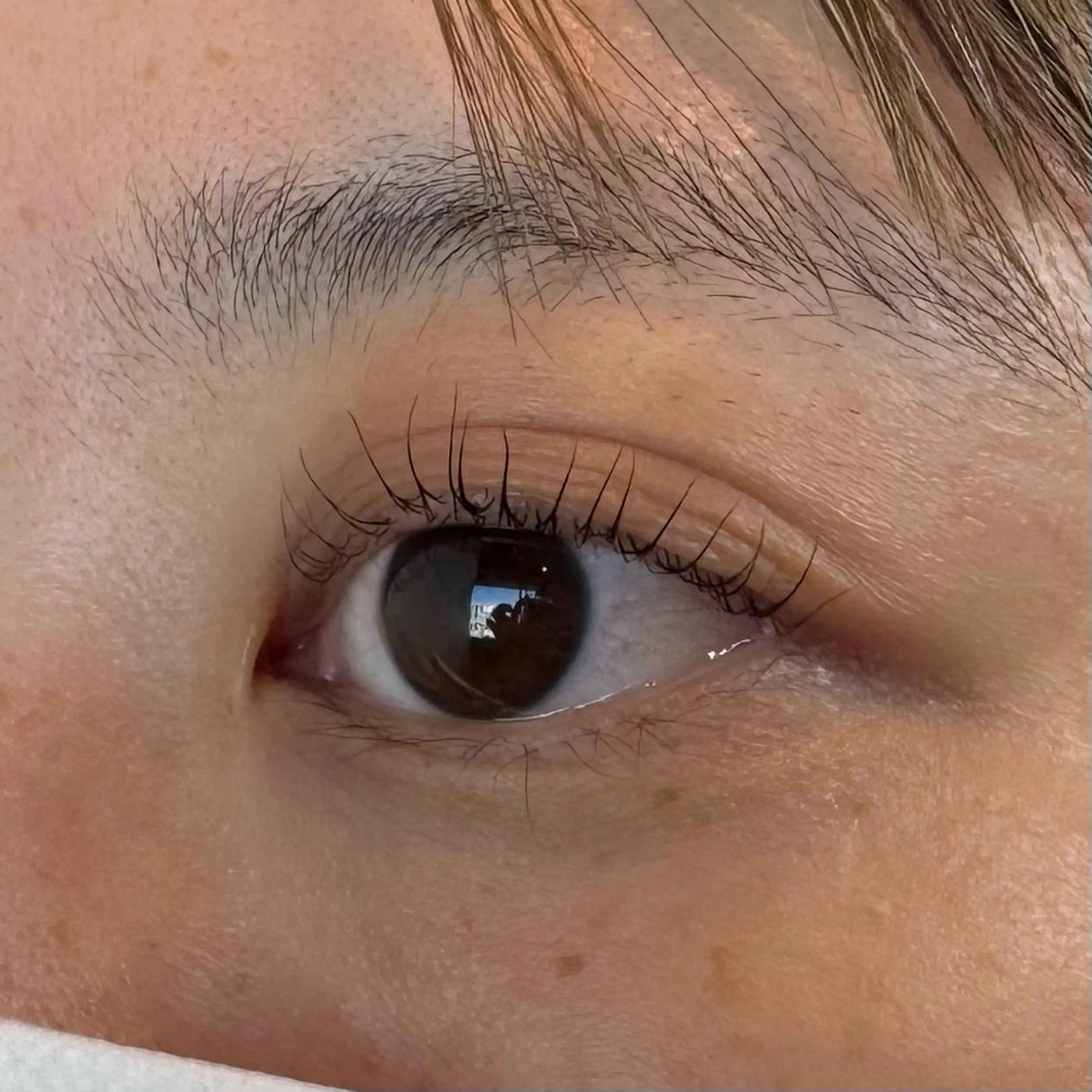 マツエク・マツパ マツパ EYELA 小針店 神子島の眉毛・アイブロウイメージ