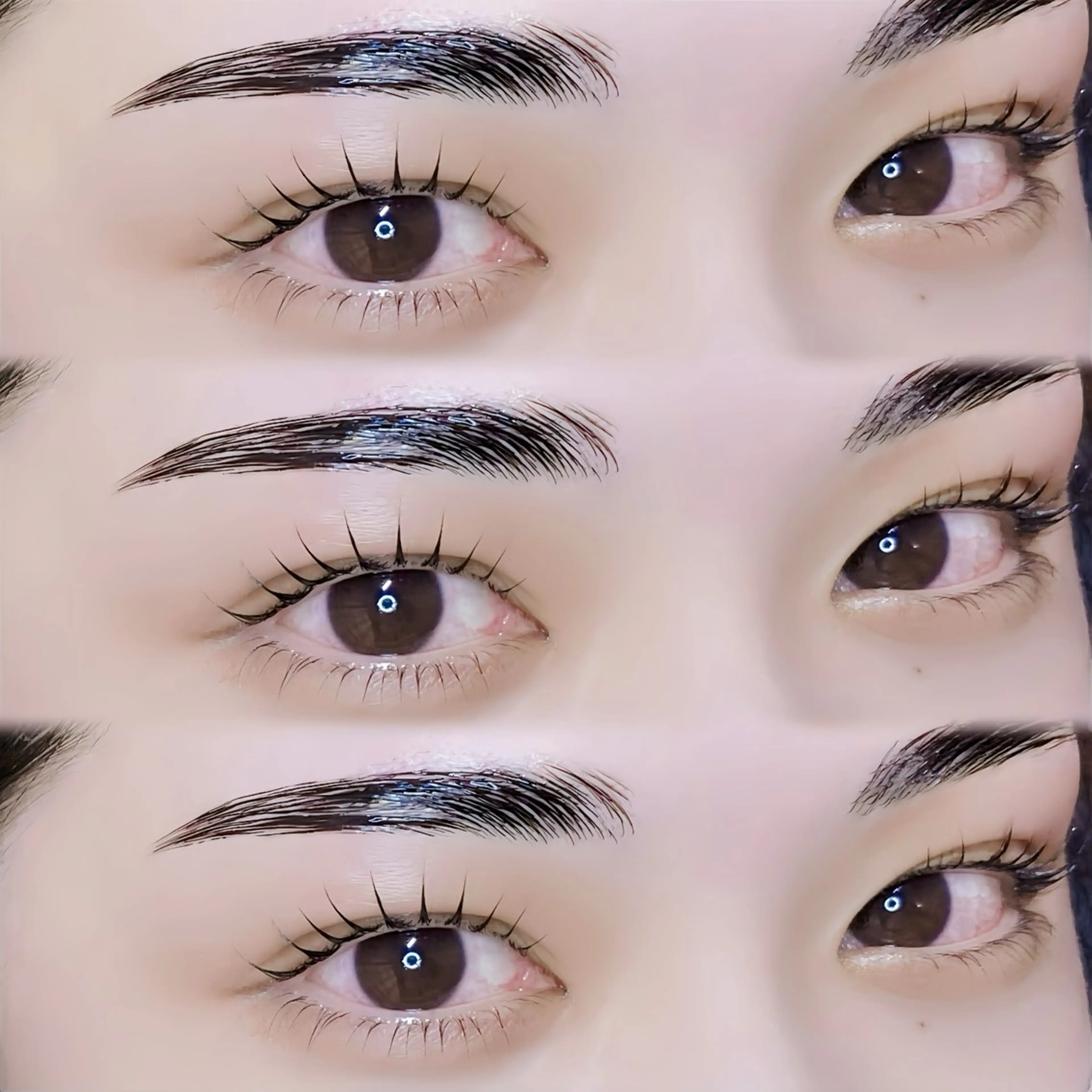 パリジェンヌラッシュリフト+眉毛WAXの写真