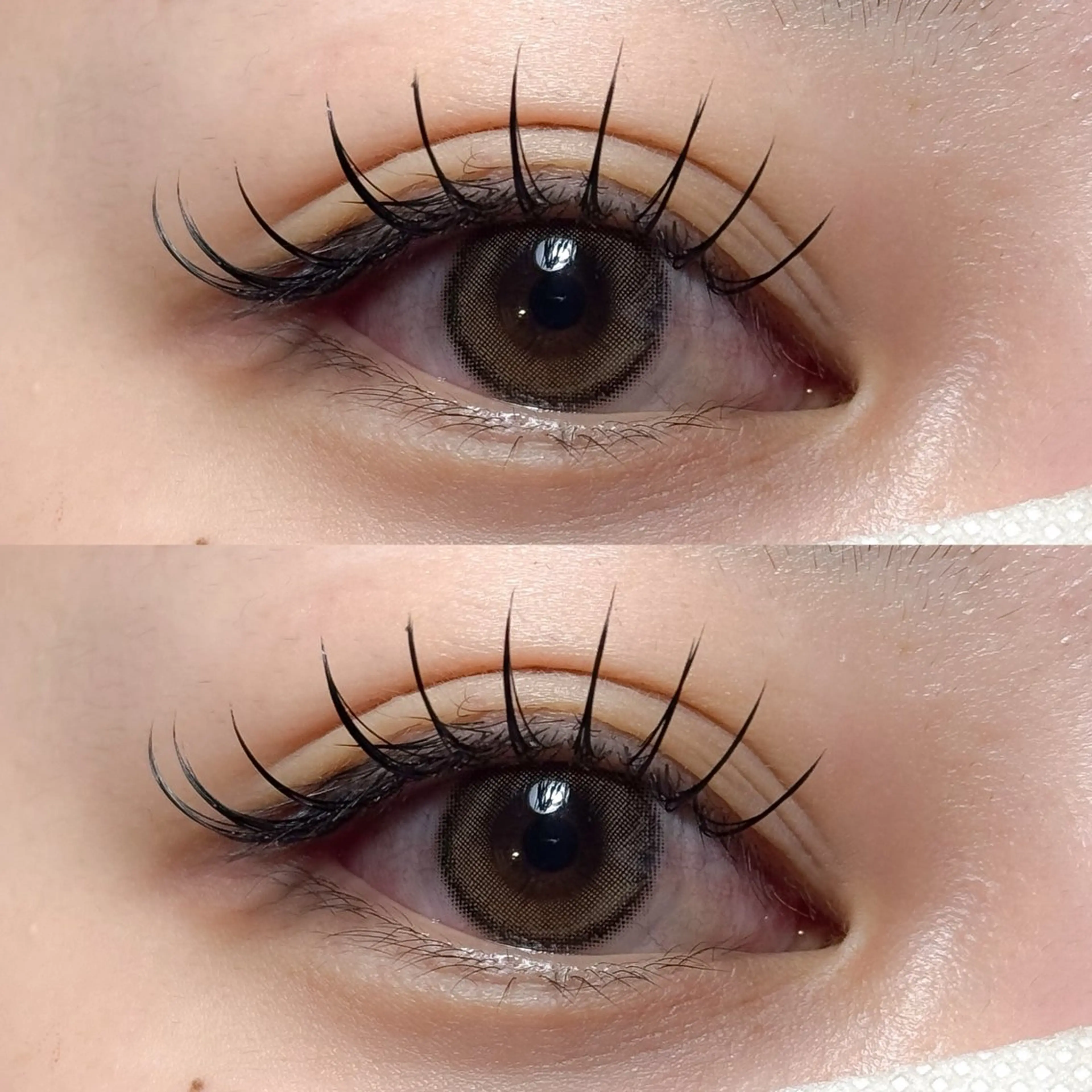 マツエク・マツパ マツエク 向井 萌華のマツエク・マツパデザイン