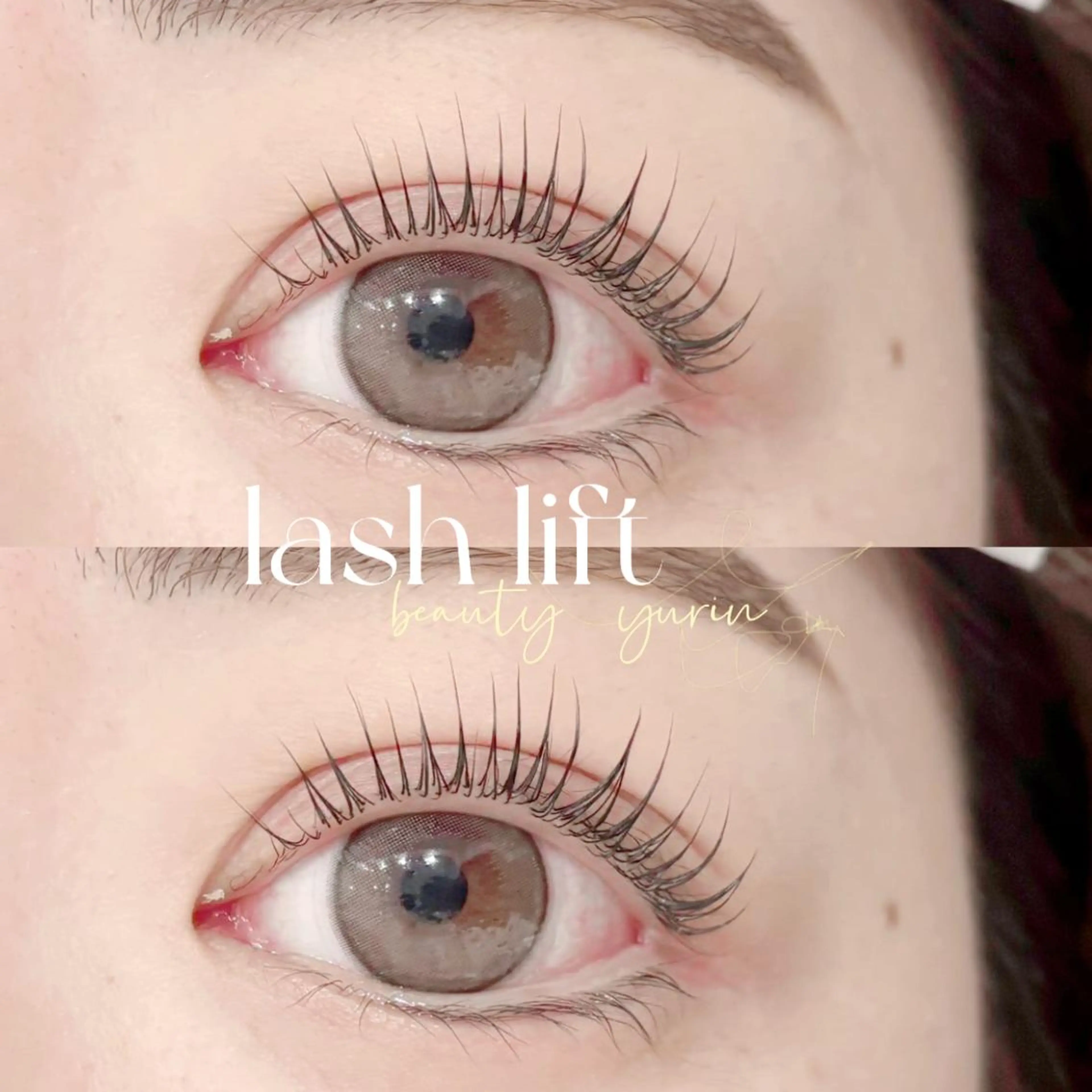 パリジェンヌラッシュリフトorまつ毛パーマ(上)🫧アイシャンプー+コーティング仕上げ付き🫧の写真