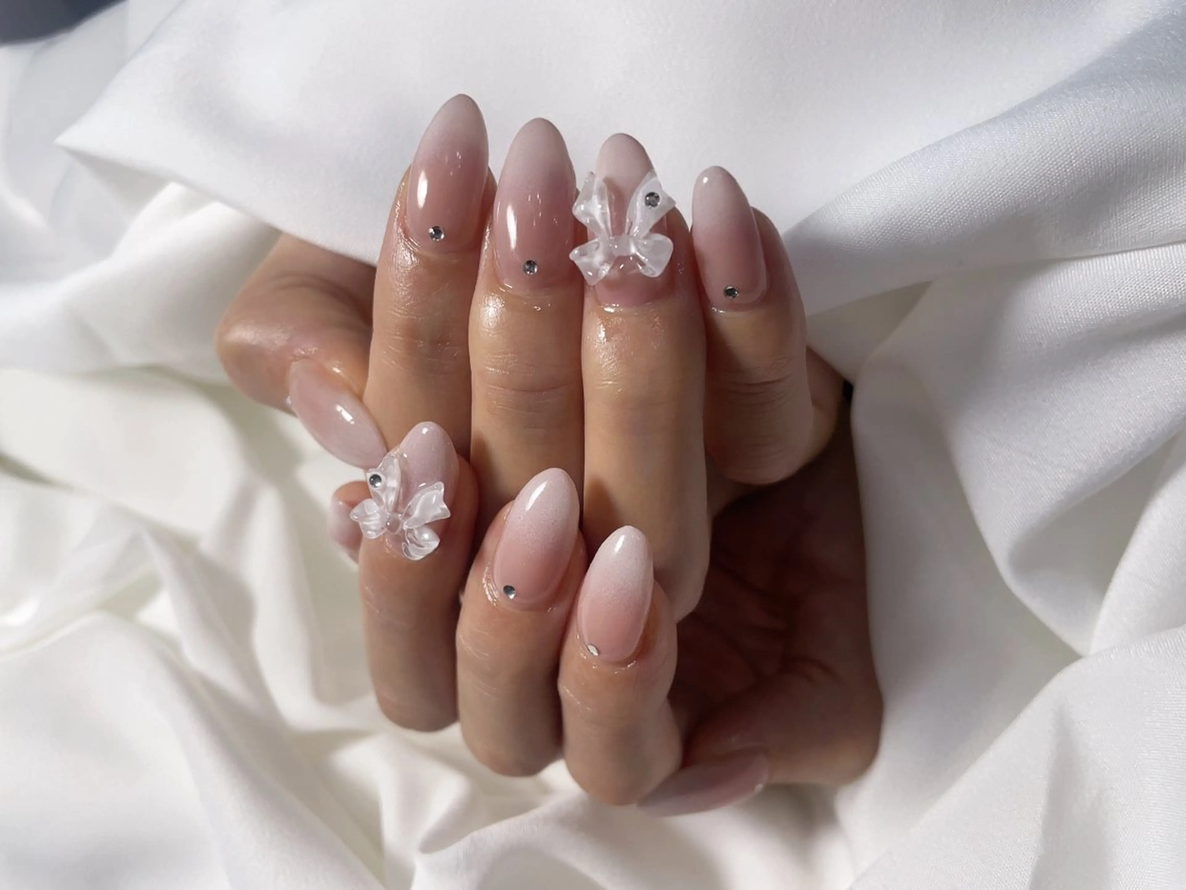 【オフ無料】大人気！ベイビーブーマー！の写真