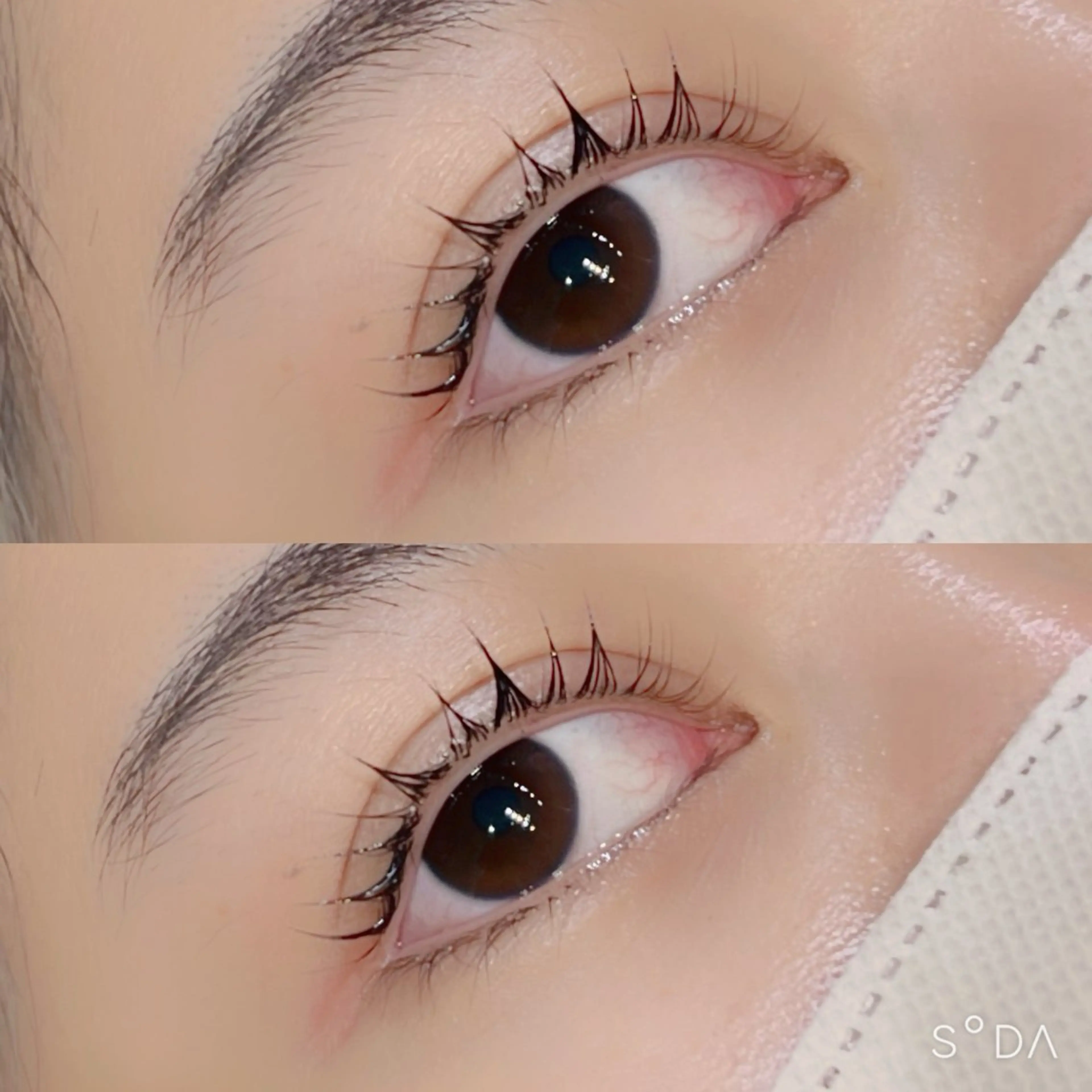 マツエク・マツパ パリジェンヌラッシュリフト EYELA 池袋 なかだ まゆのマツエク・マツパデザイン