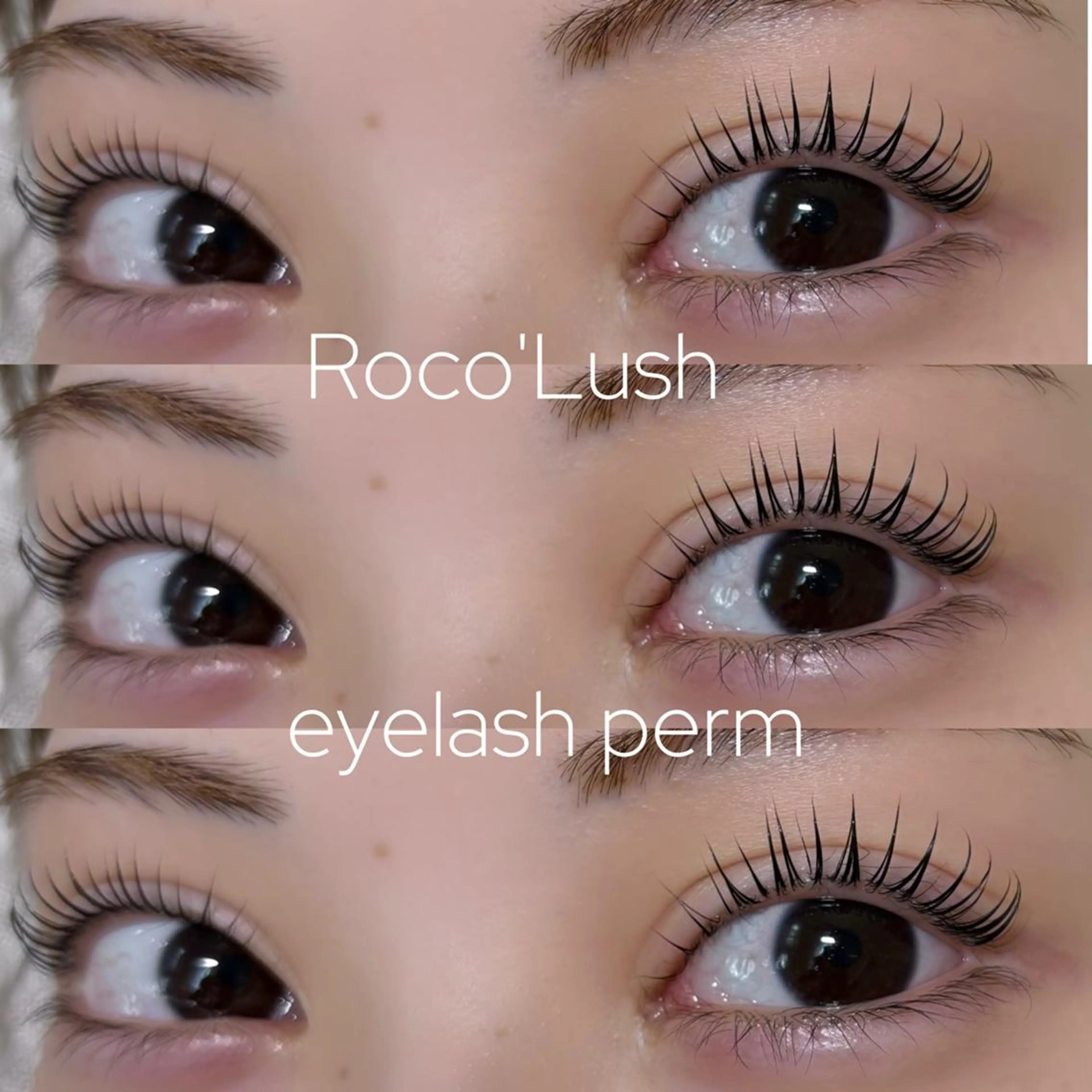 【ご新規様】上下SET🌷パリジェンヌorまつ毛パーマ+下まつ毛パーマ🌷土日祝➕550の写真