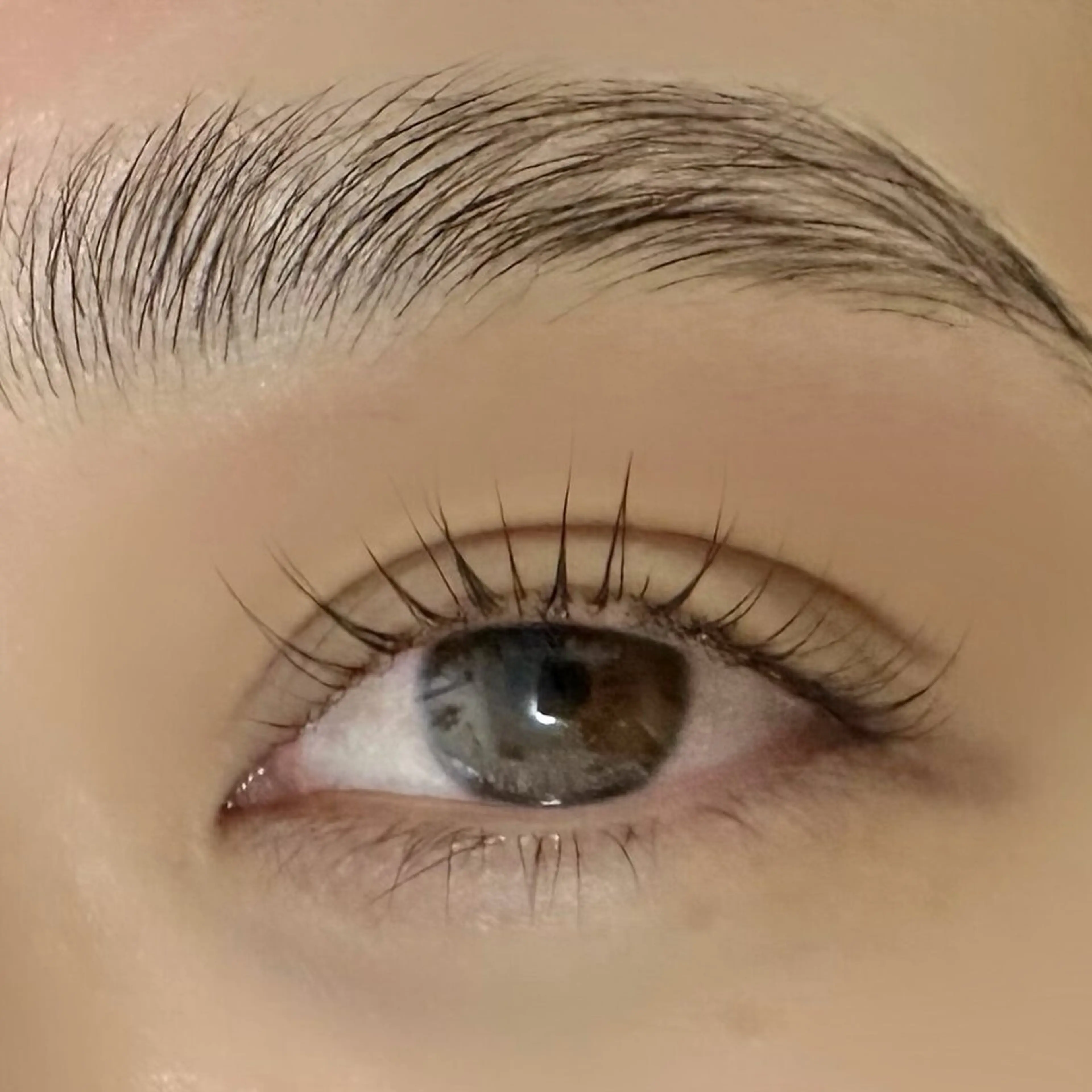 アイブロウ chaleureux 【シャルルー】のマツエク・マツパデザイン