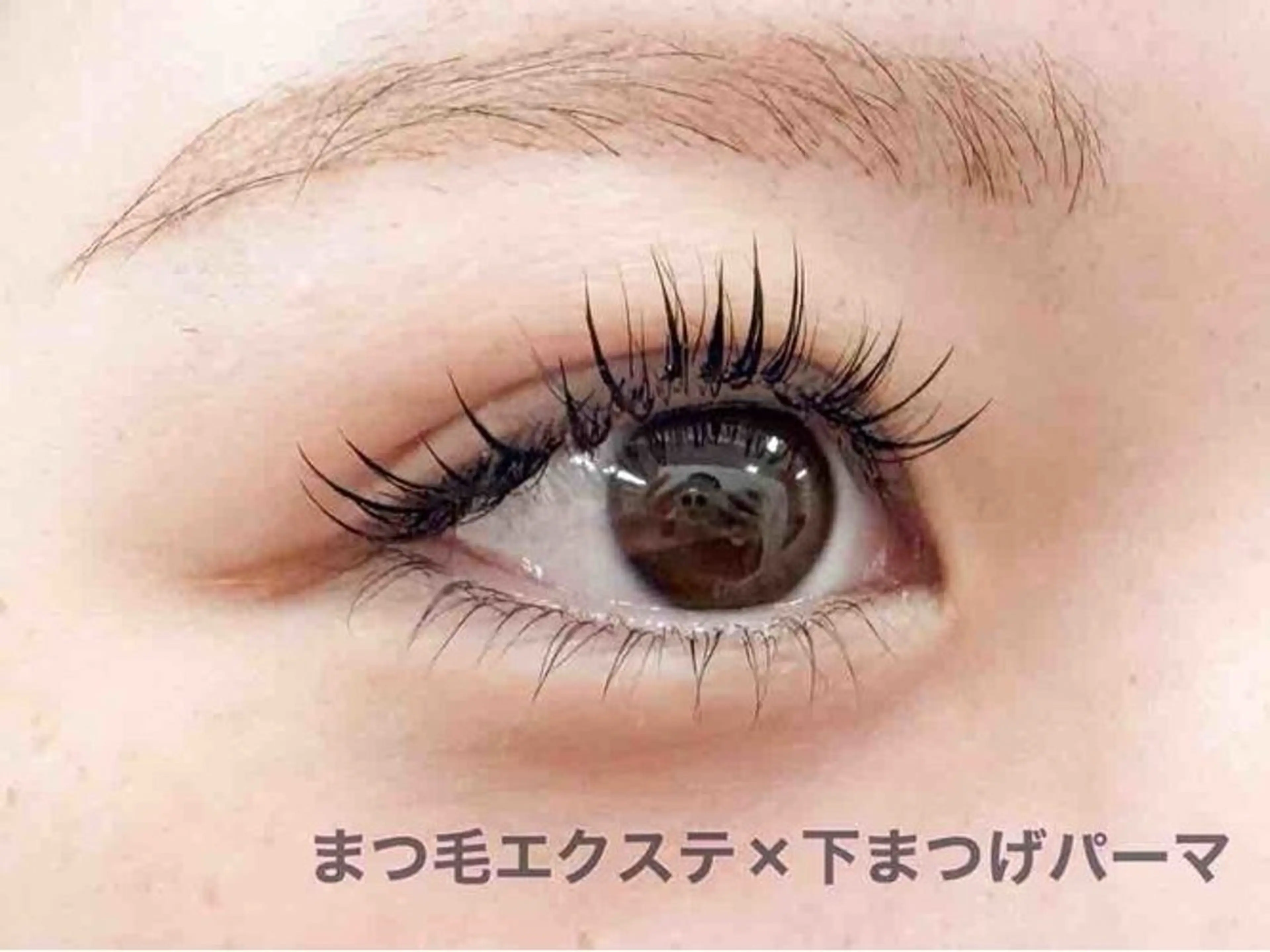 マツエク・マツパ 無料🪹 マツエクモデル募集中のマツエク・マツパデザイン