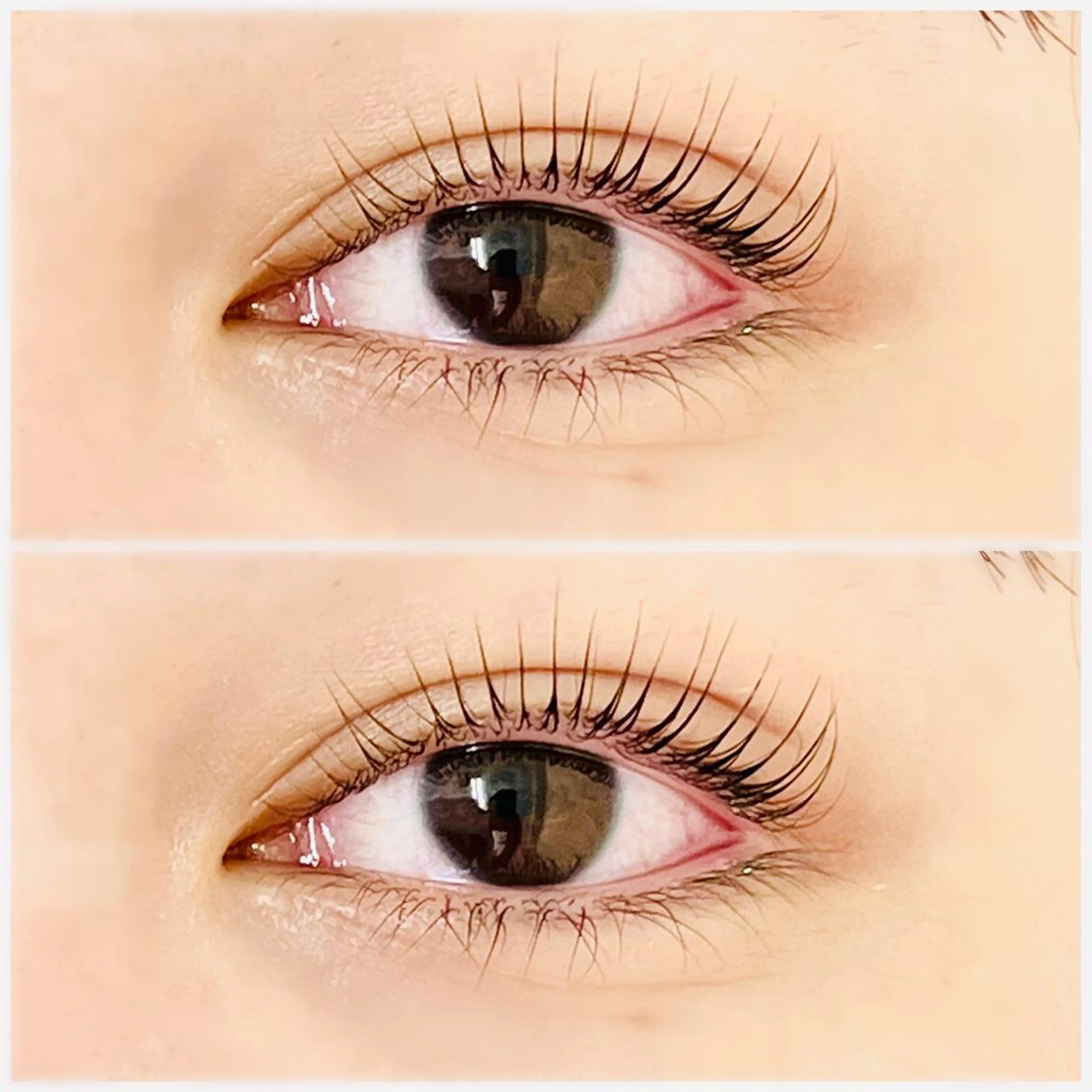 マツエク・マツパ ikoi yukaのヘアスタイル