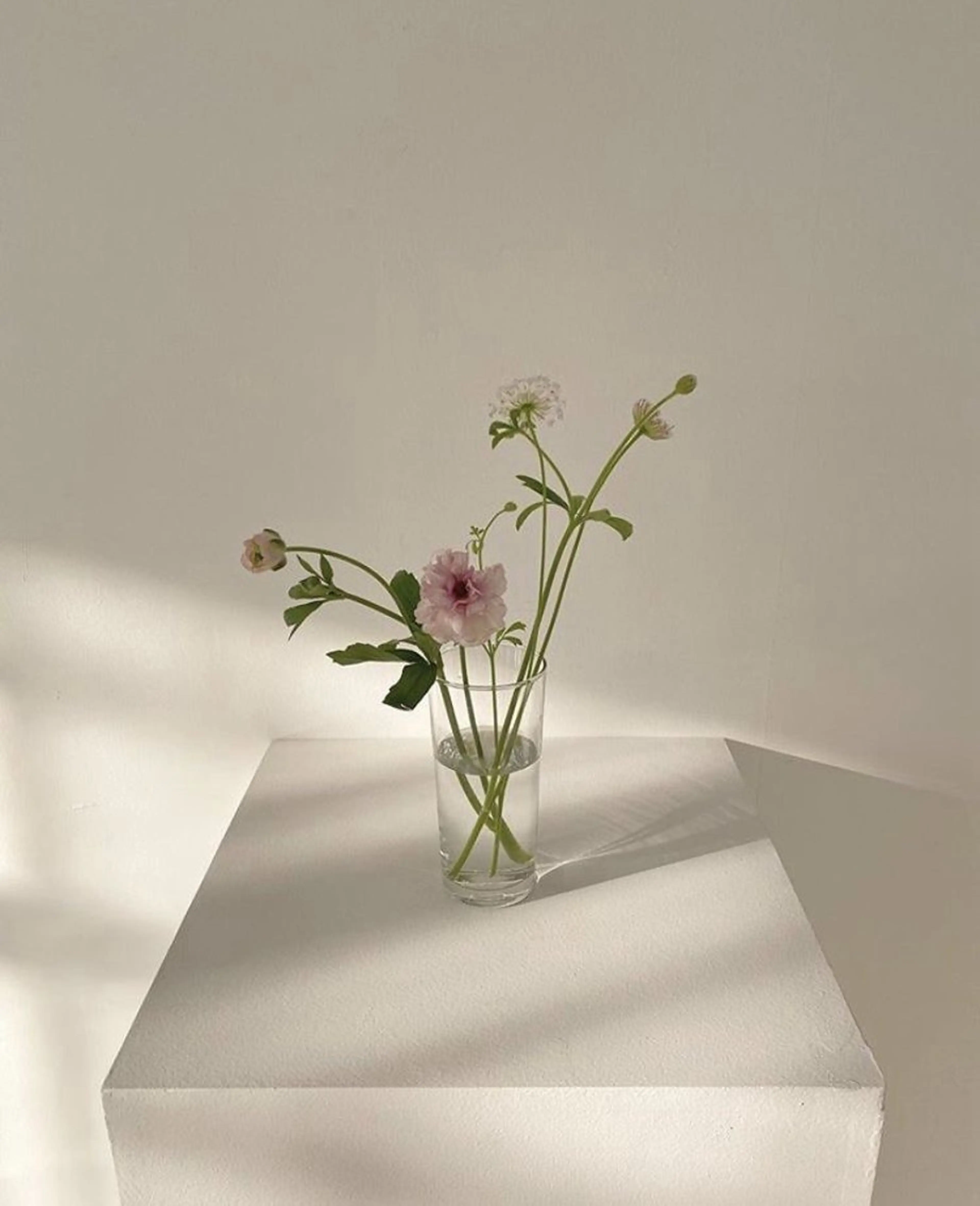 Lash&brow PORTE269 瓜破店所属・田川 きららのマツエク・マツパデザイン