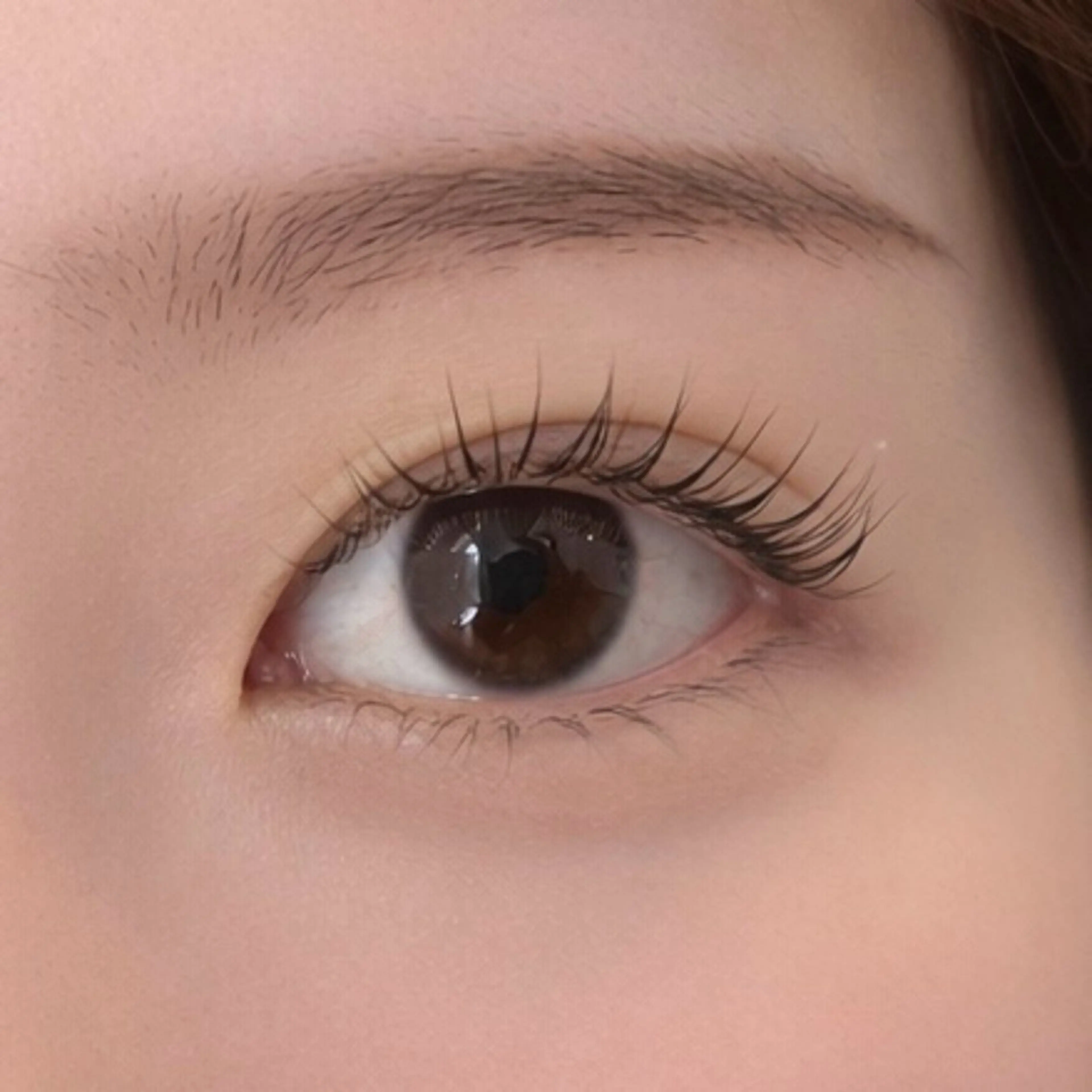 マツエク・マツパ パリジェンヌラッシュリフト 一重×まつ毛パーマ Pualice 船崎のマツエク・マツパデザイン