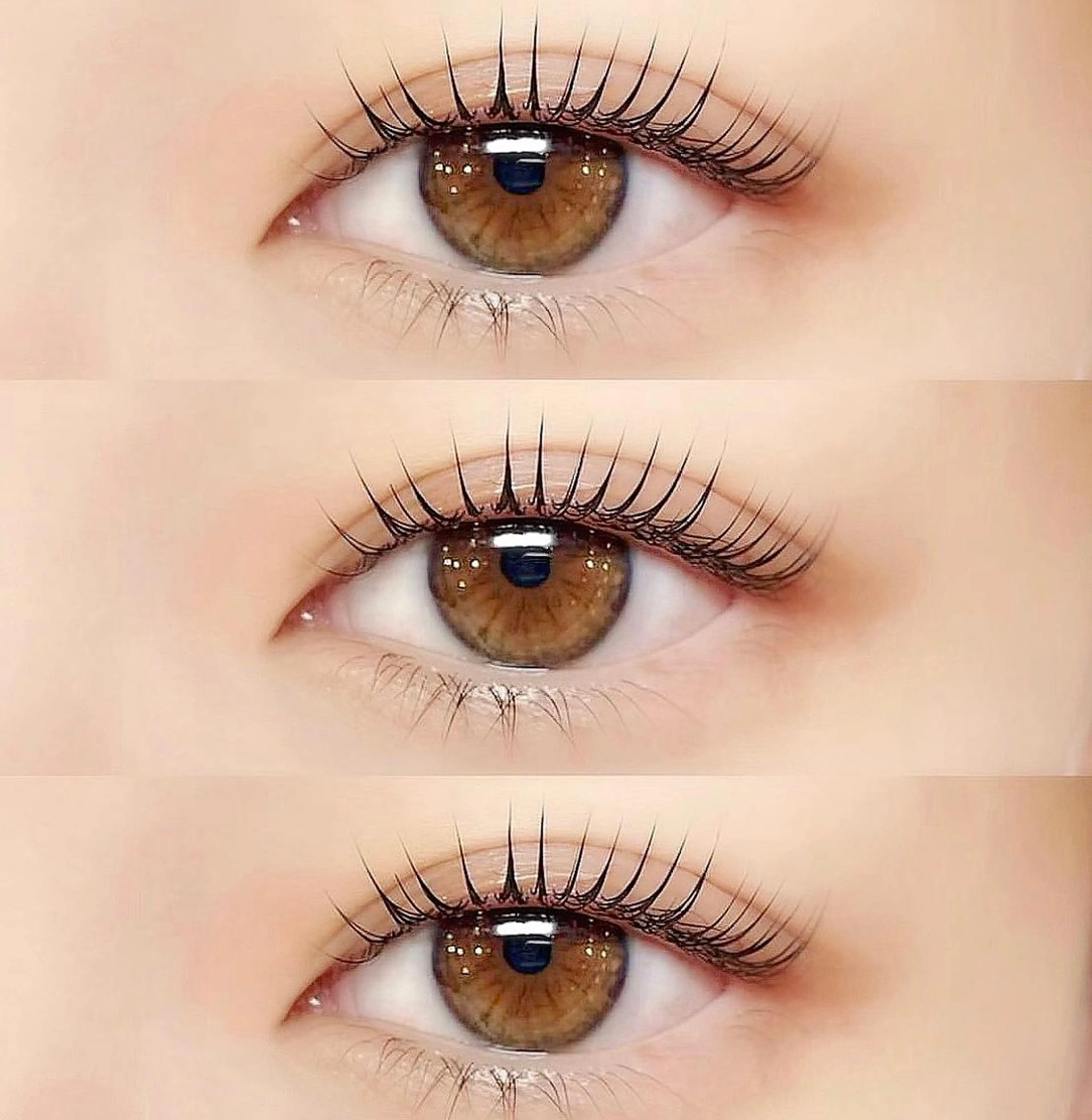 パリジェンヌラッシュリフト💞¥5980の写真