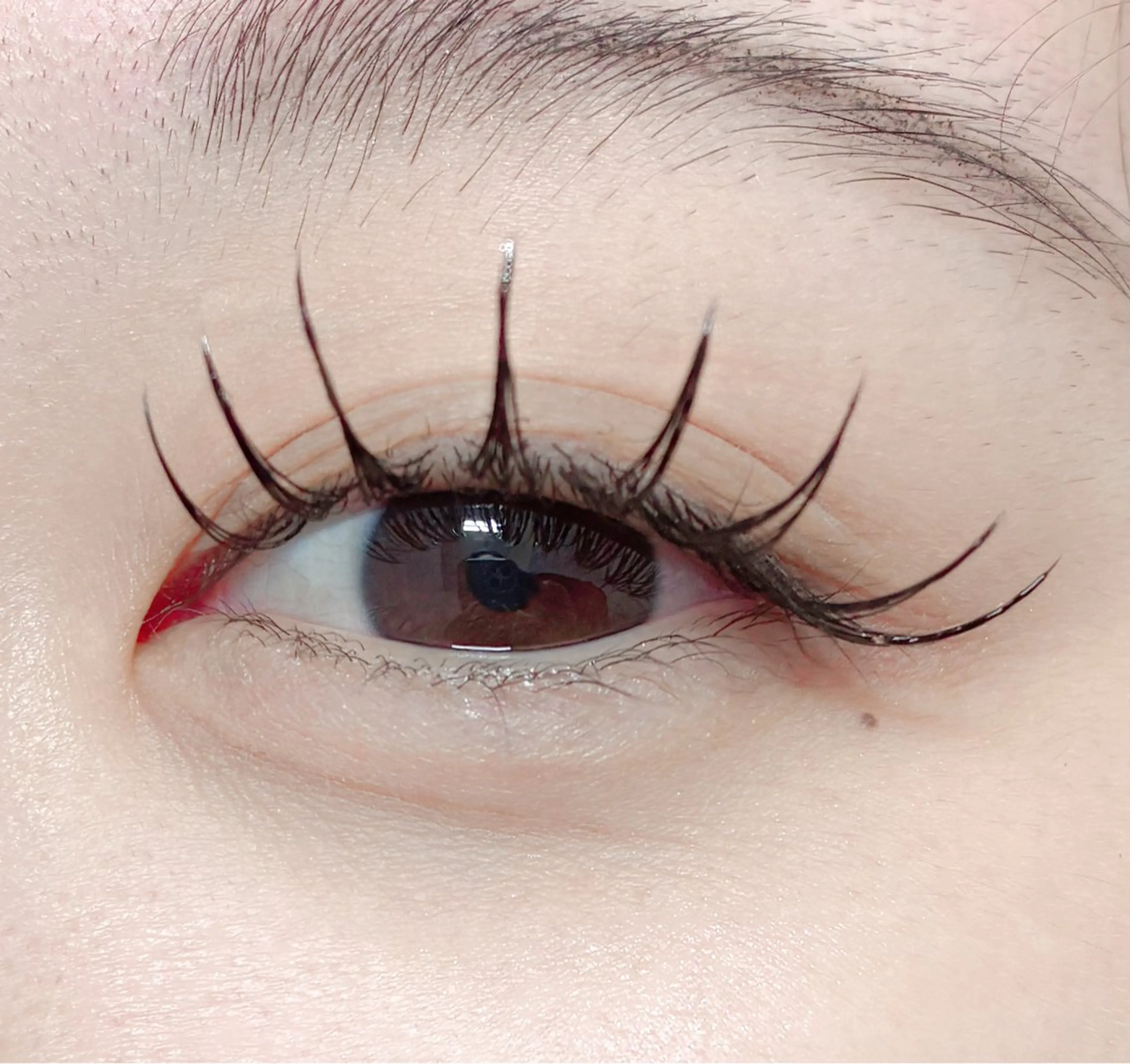 マツエク・マツパ マツエク eyelash/ Coaのマツエク・マツパデザイン