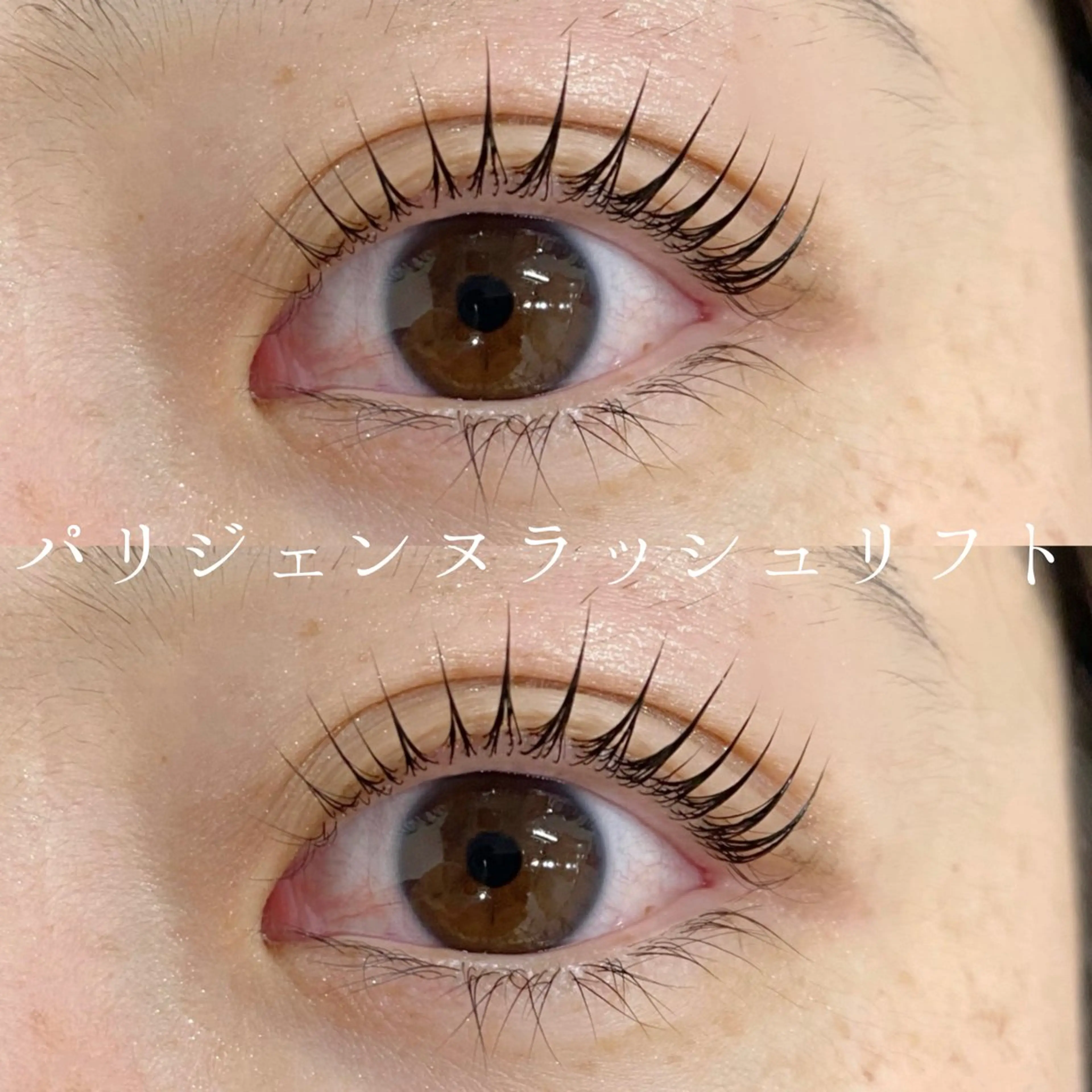【次世代まつ毛パーマ】パリジェンヌラッシュリフト〈コーティング付〉¥6000+指名料¥300 ※オフ不可※の写真