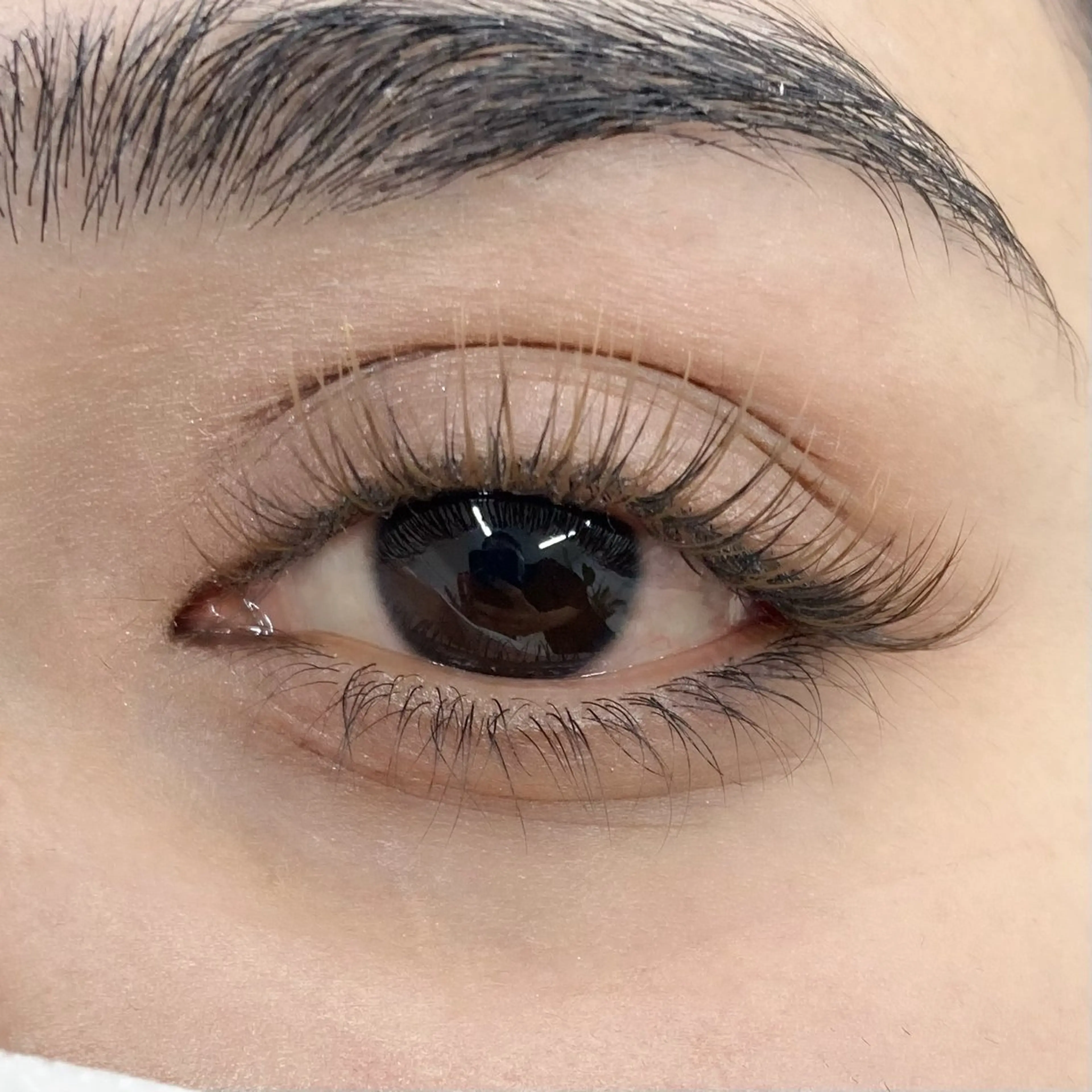 マツエク・マツパ マツエク THE BALM🐦 橋本♪のマツエク・マツパデザイン