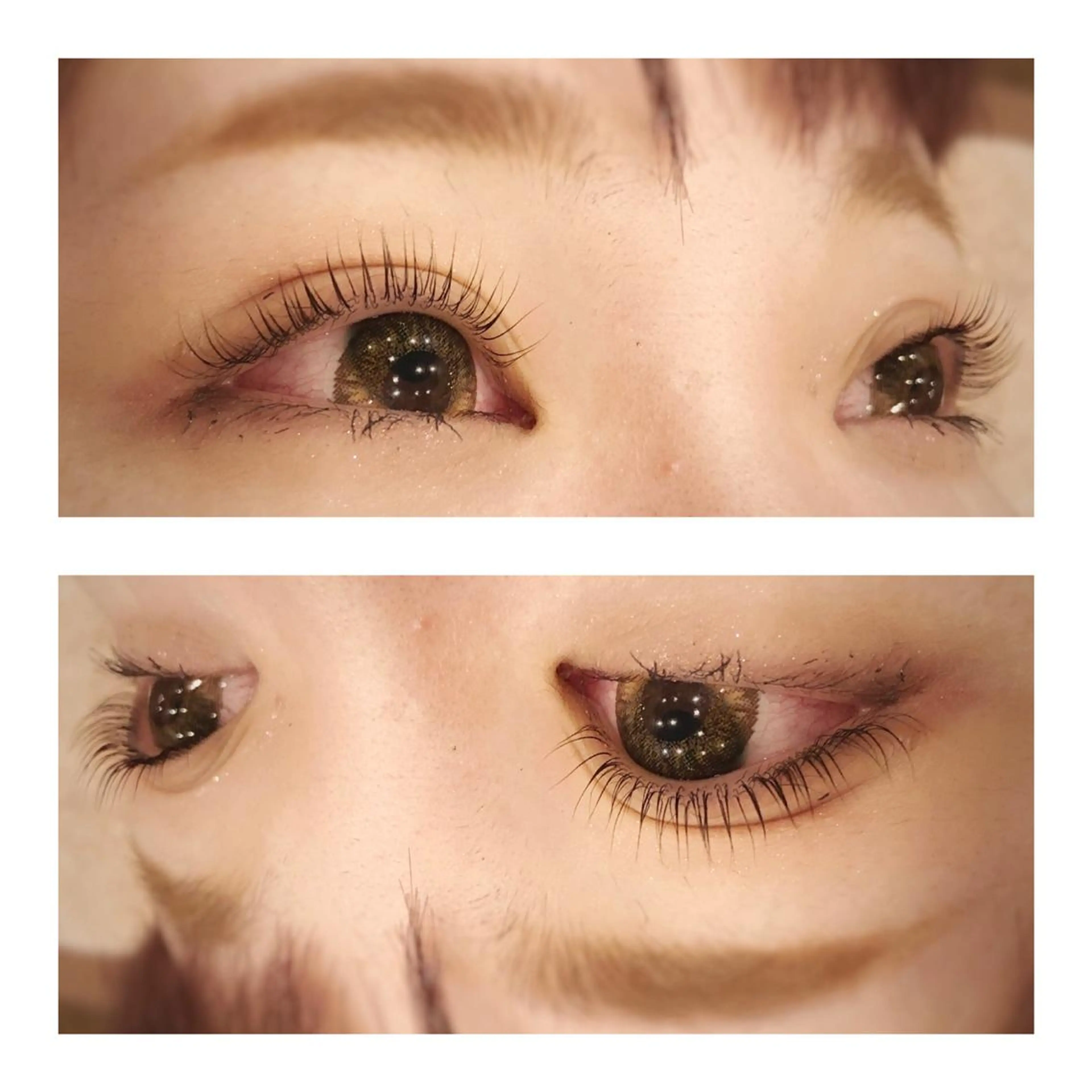 【ご新規様のみ】パリジェンヌラッシュリフトの写真