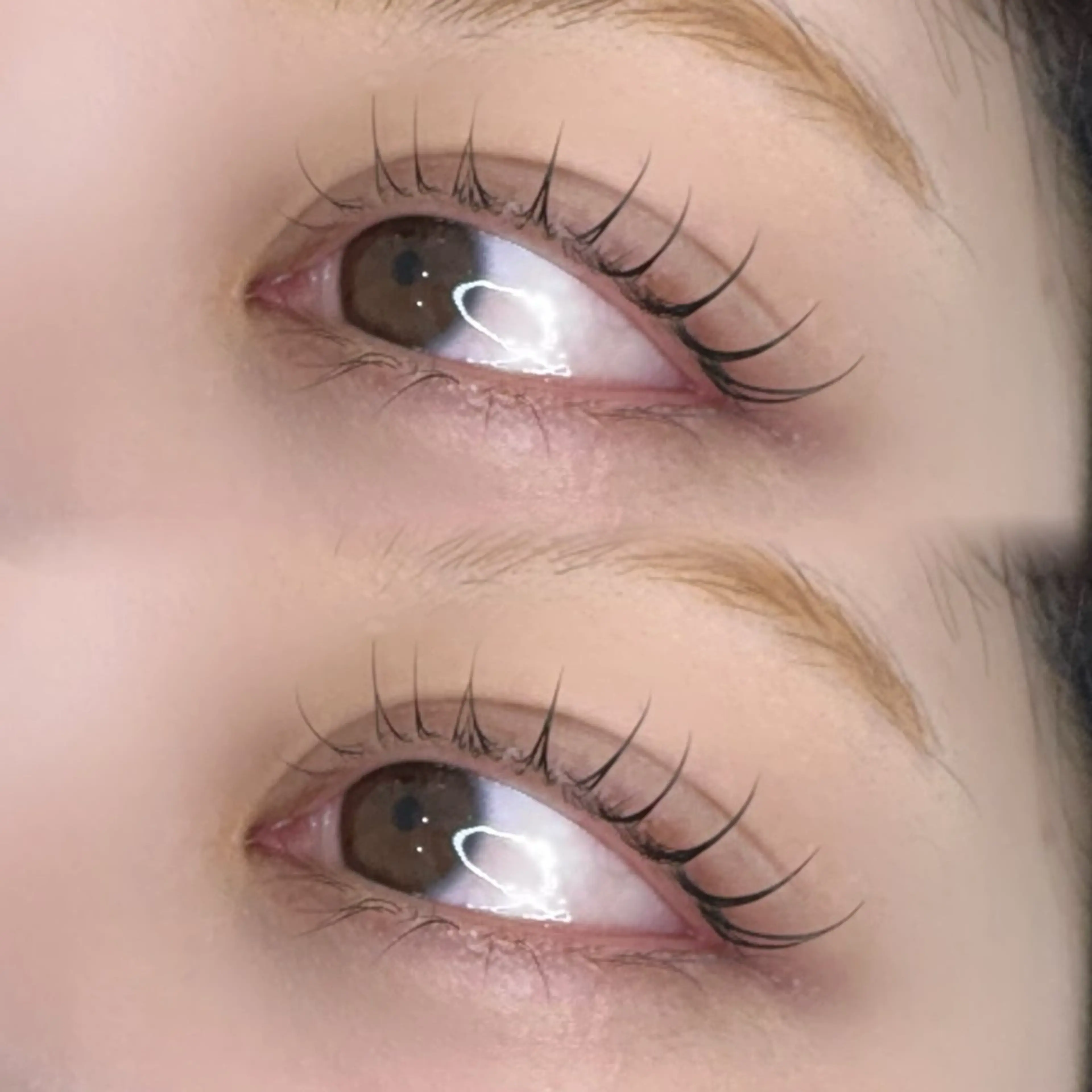 マツエク・マツパ tomoka /原宿アイリスト🎀のマツエク・マツパデザイン