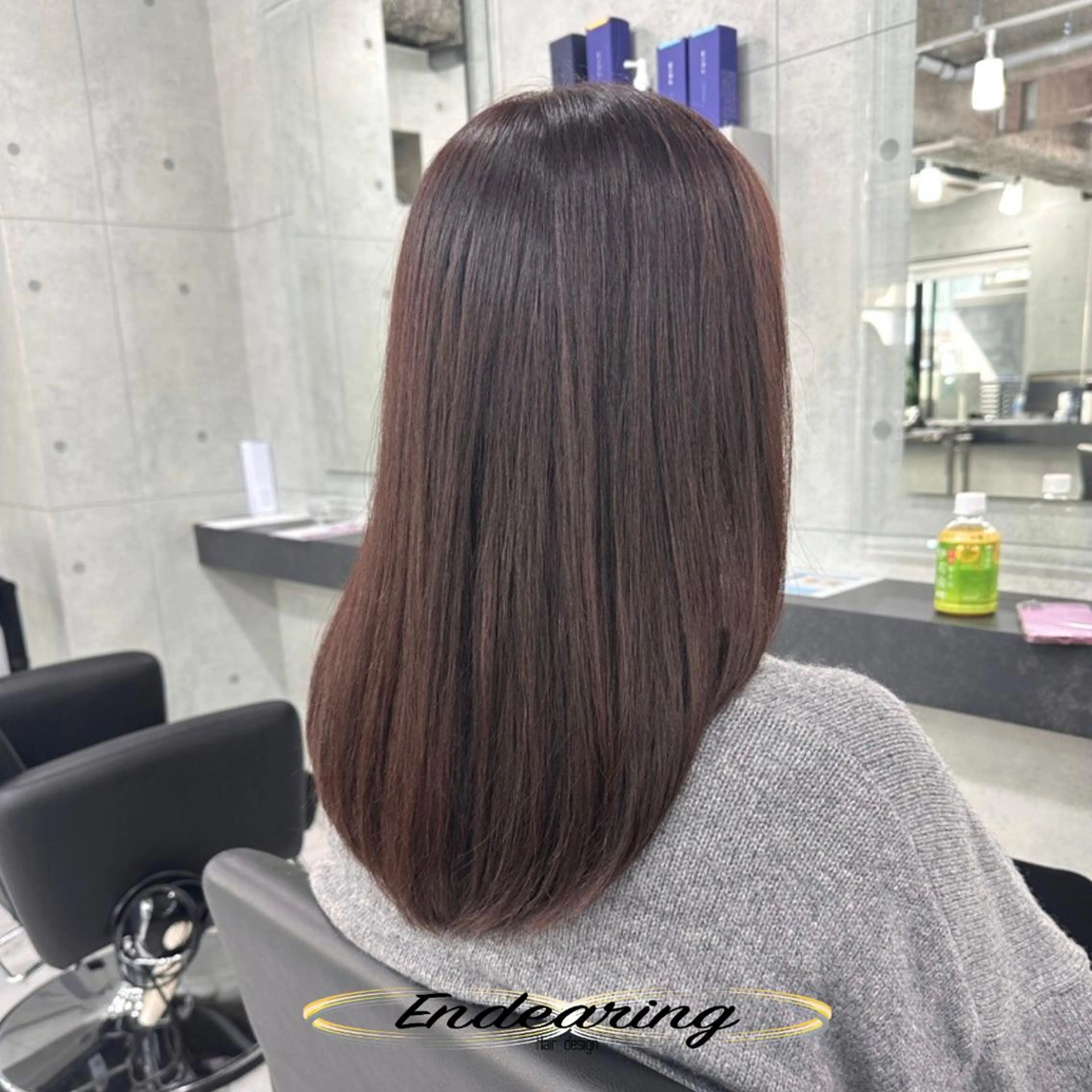 カラー ブラウンカラー 透明感カラー ココアブラウン カット ヘアカラー Endearing 銀座/レイヤーカットのヘアスタイル