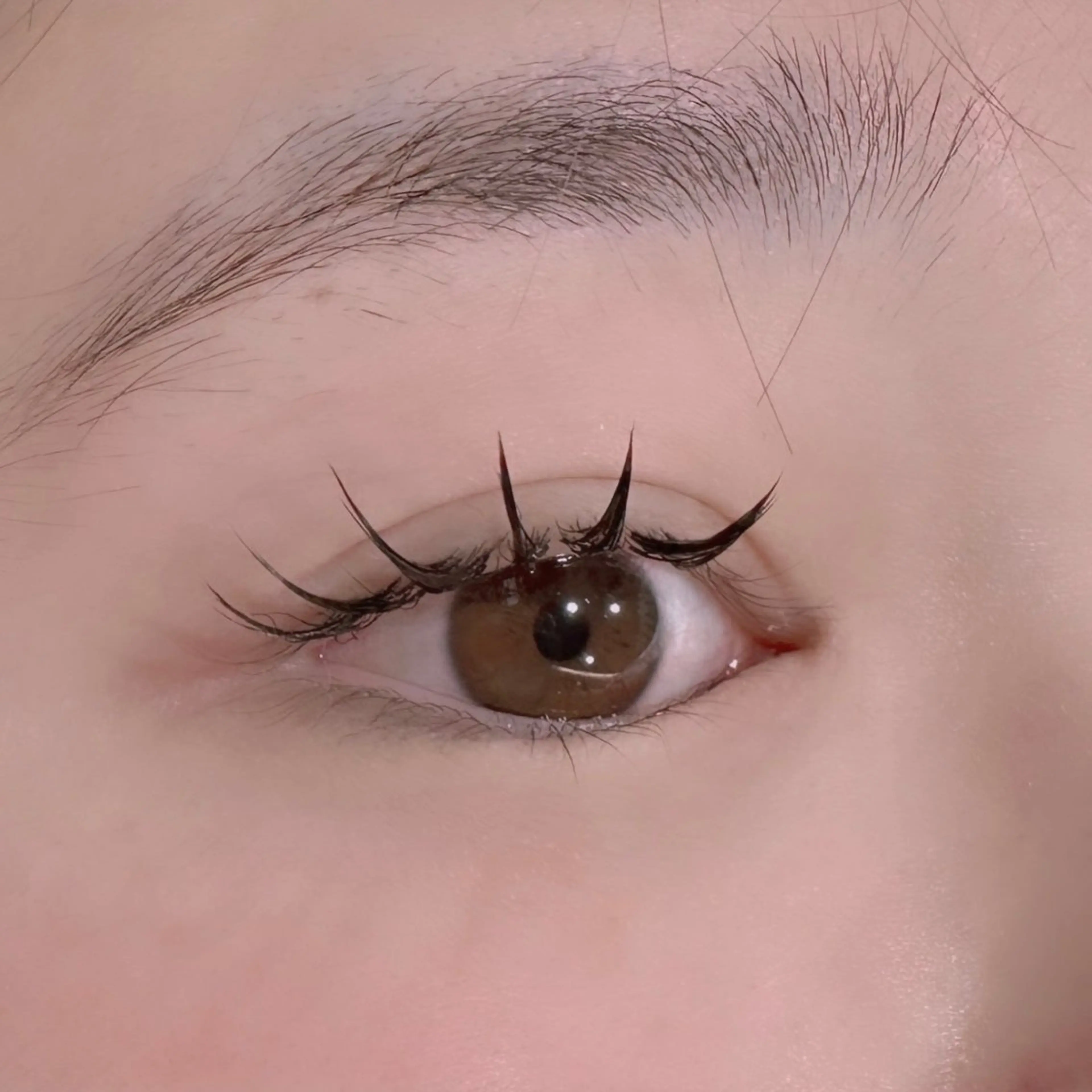 マツエク・マツパ hair&eye🎀 /momoKaのヘアスタイル