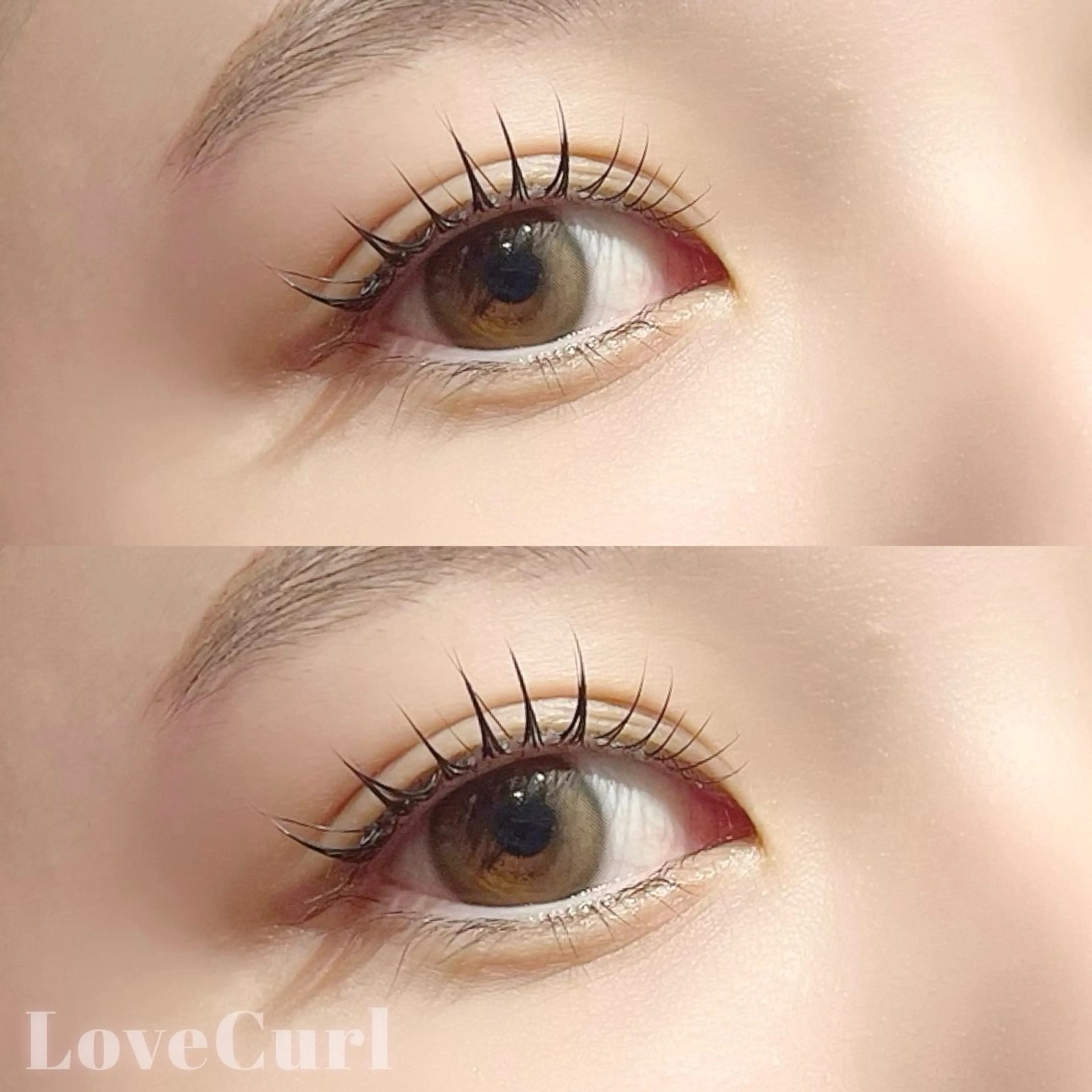 【平日限定】ケラチンラッシュリフト上のみ🍯🐝の写真