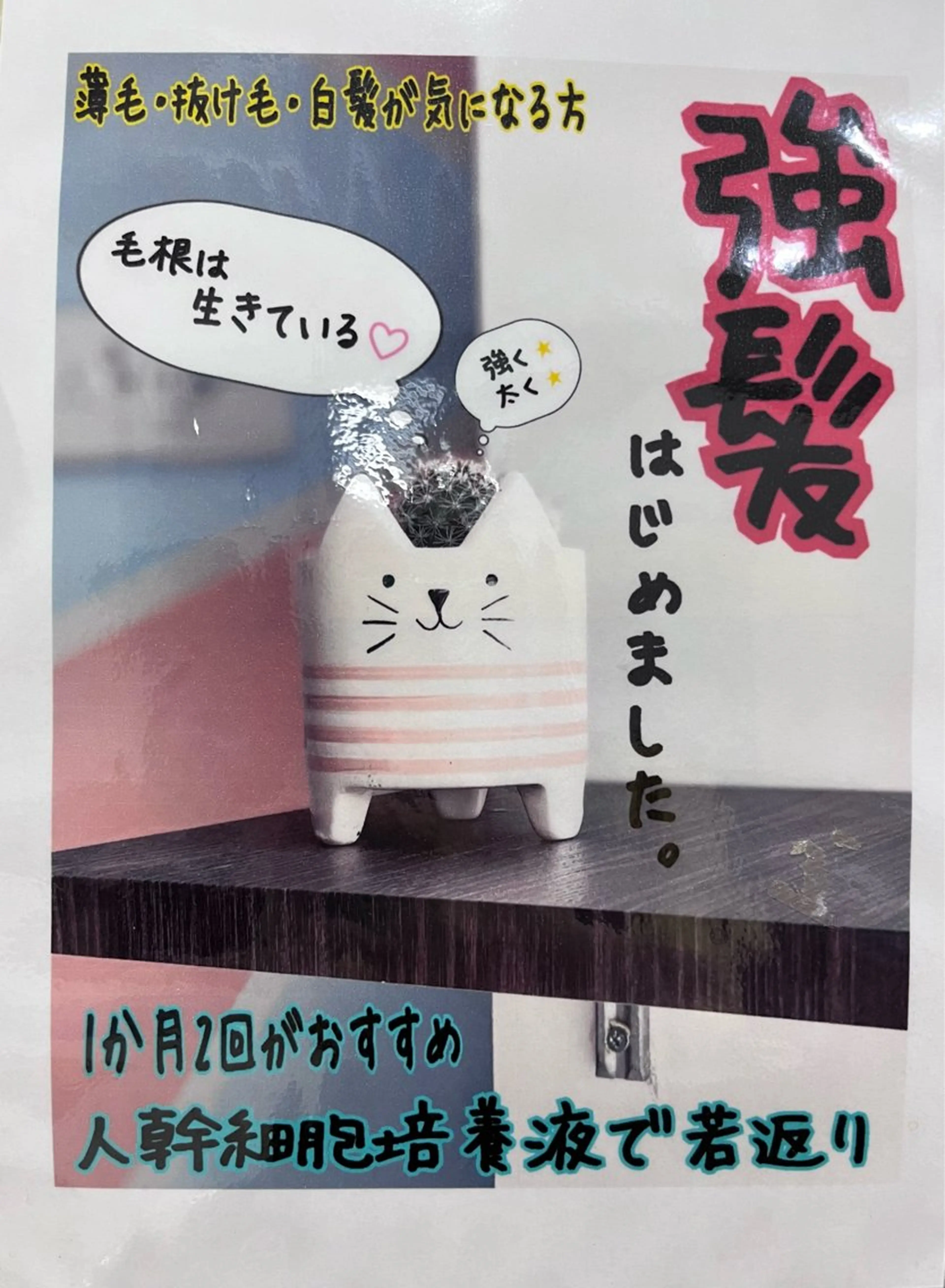 メンズヘッドスパの写真