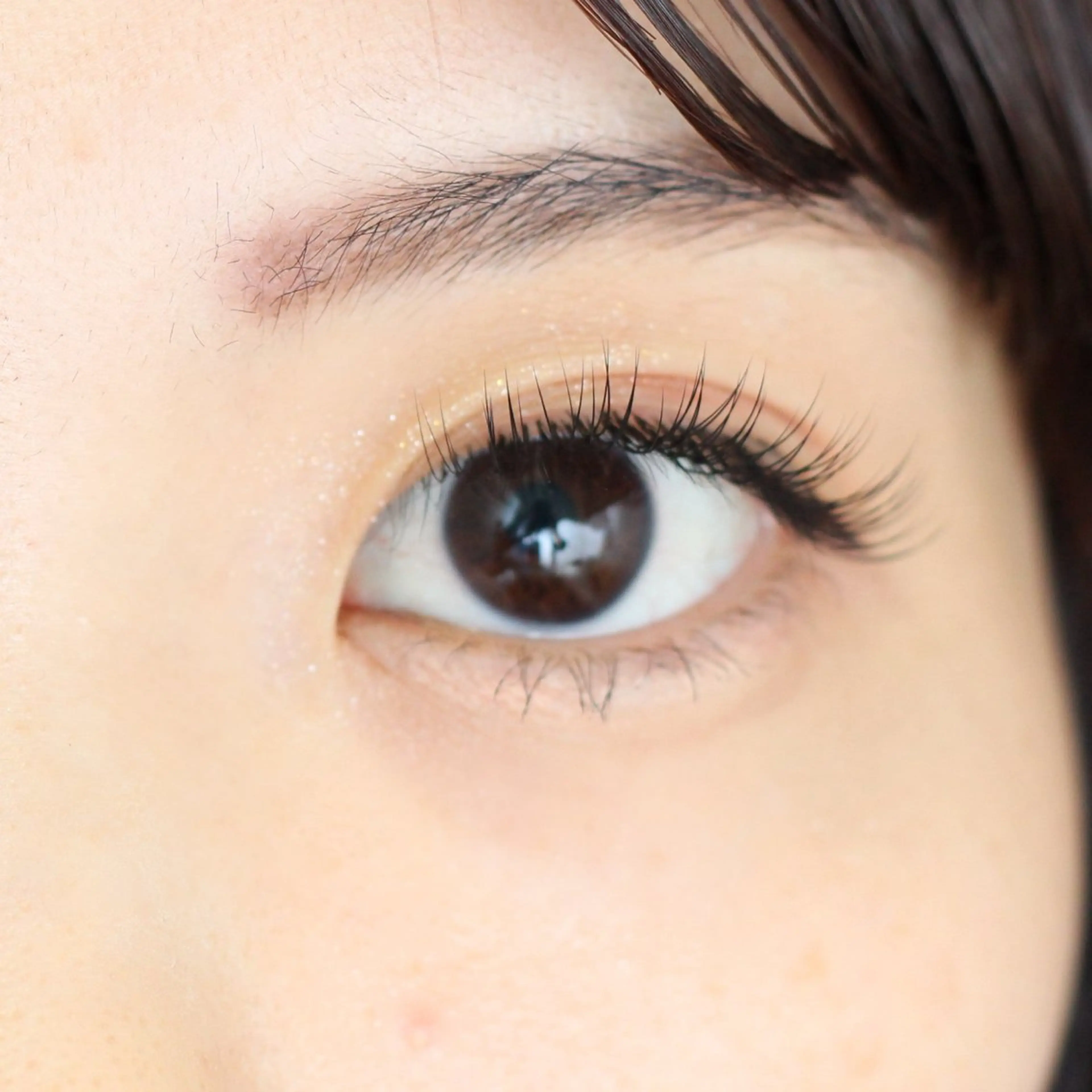 マツエク・マツパ セクシー La’dor所属・Eyelash Mariaのマツエク・マツパデザイン