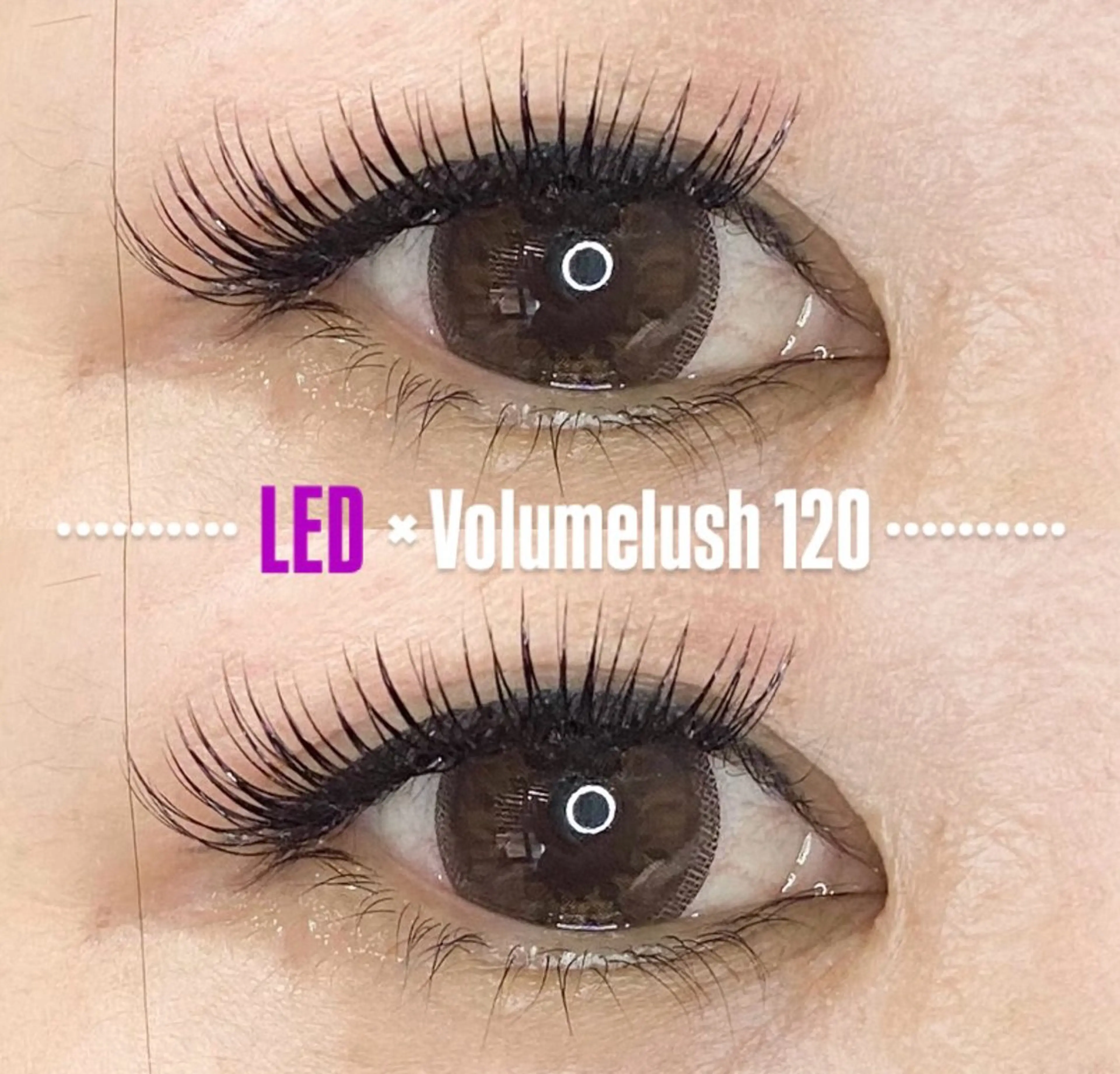 マツエク・マツパ LEDエクステ専門店 Fedis 京橋のマツエク・マツパデザイン