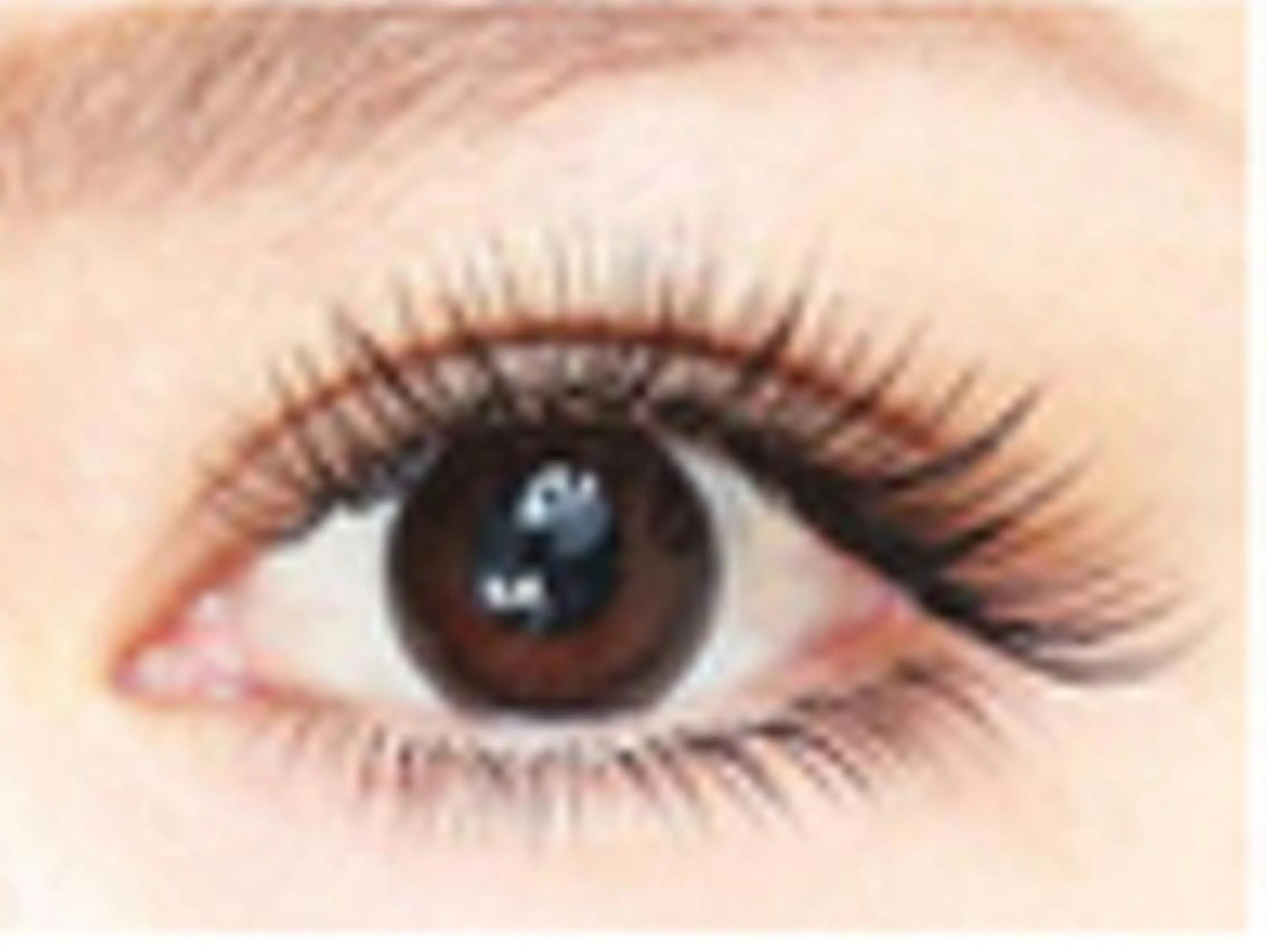 マツエク・マツパ プラスアイ 錦糸町店のマツエク・マツパデザイン