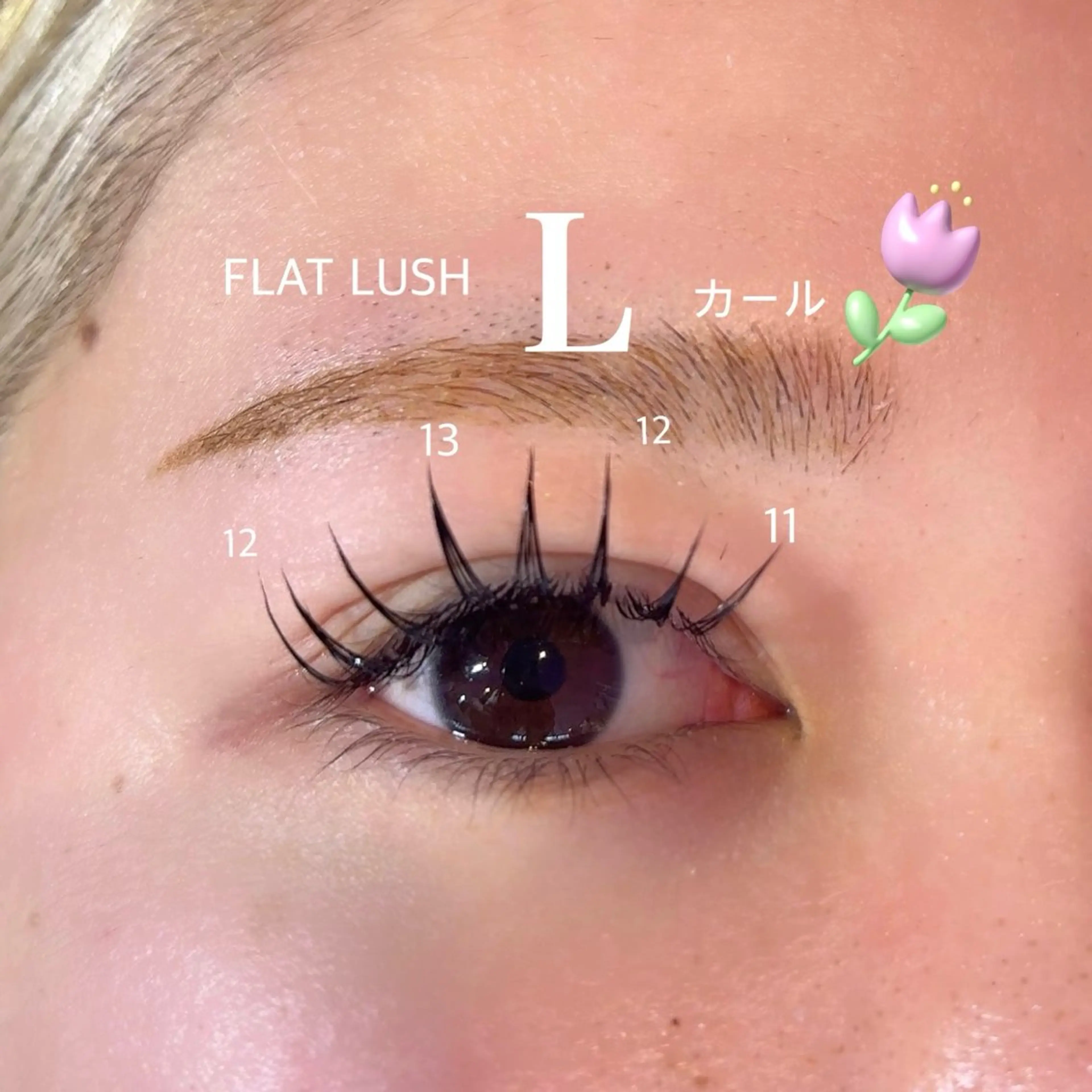 フラットラッシュ160本💘Lカール、Uカールあります˚✧₊⁎❝᷀ົཽ≀ˍ̮ ❝᷀ົཽ⁎⁺˳✧༚の写真