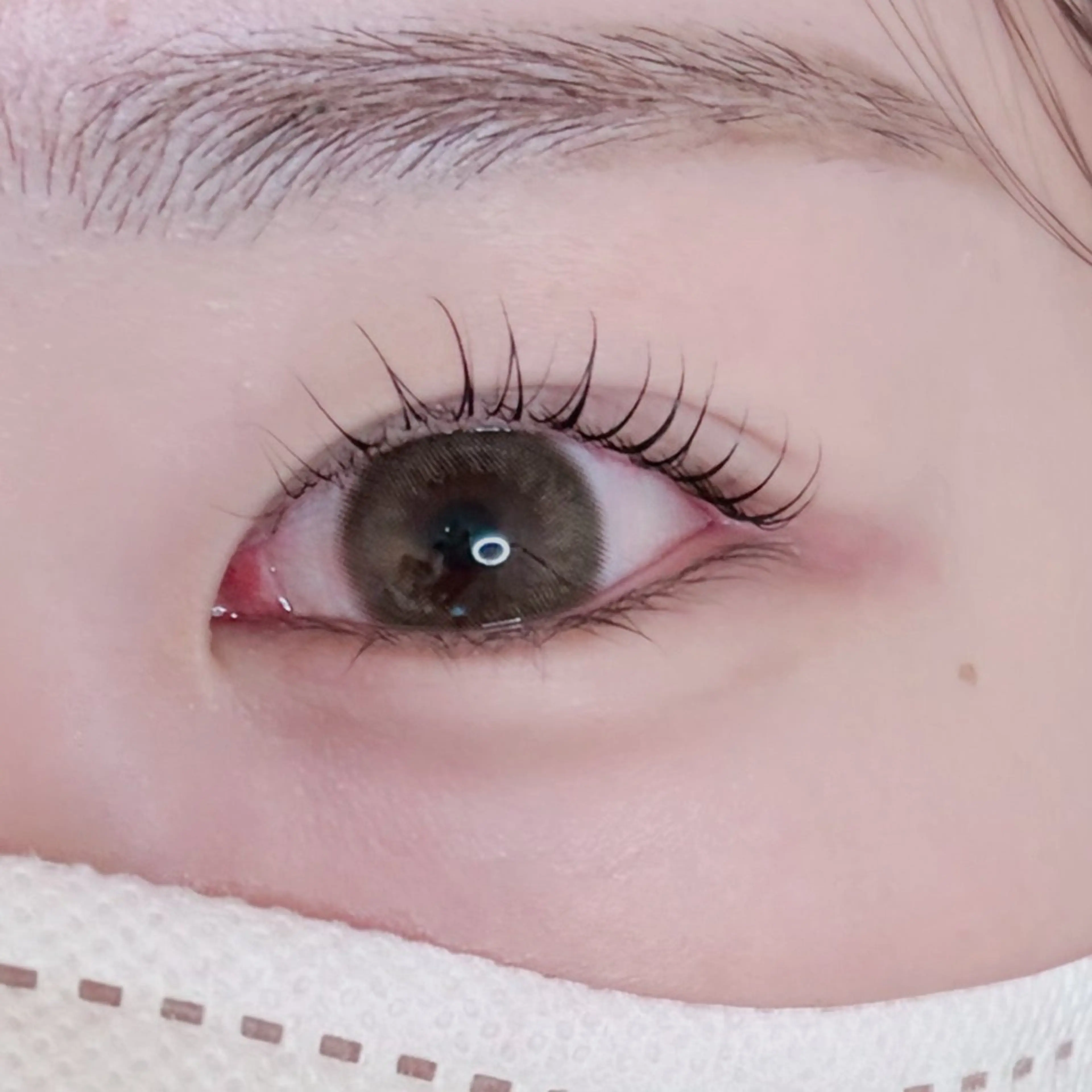 🎀モデル🎀 🪄まつ毛パーマ ⚠️お直し不可の写真