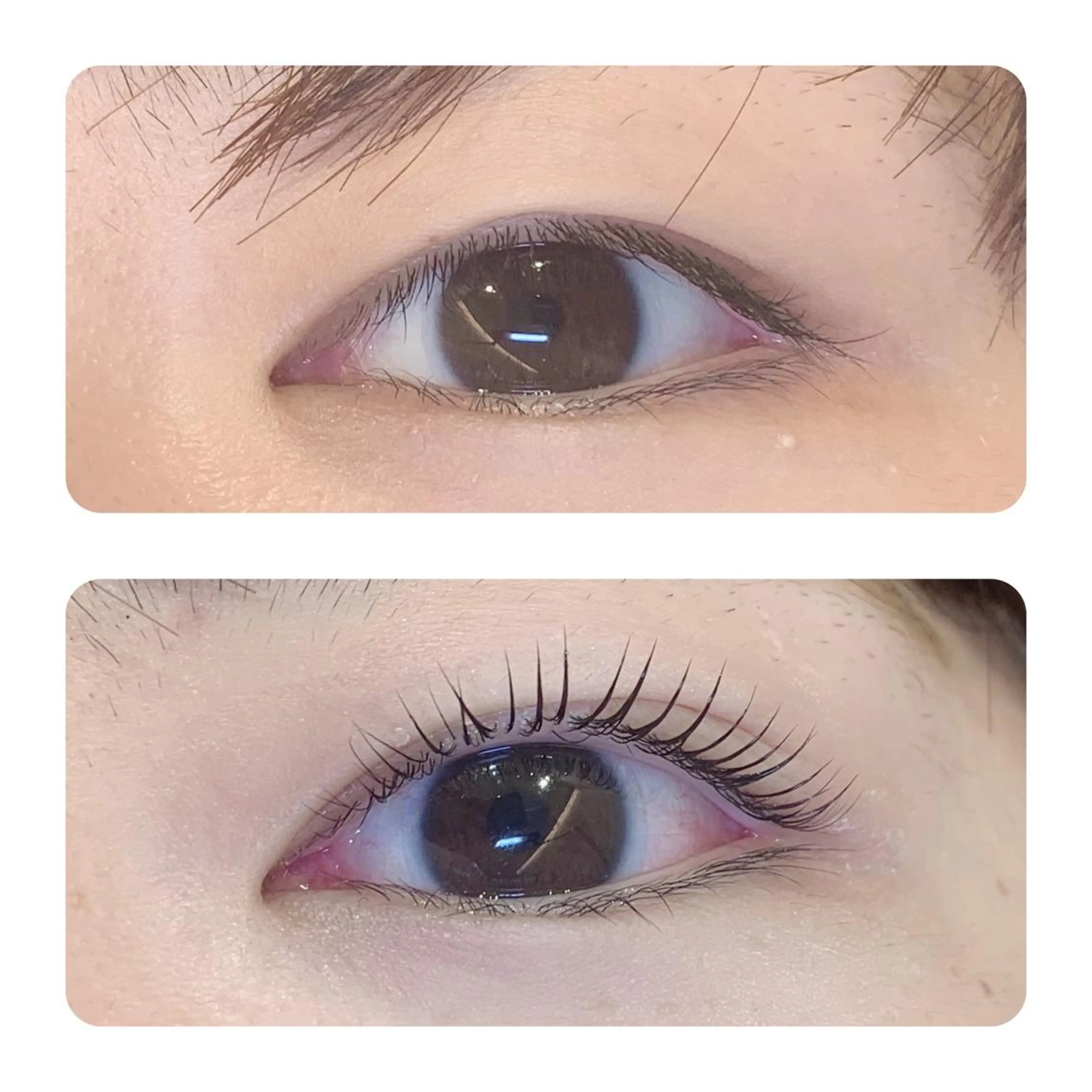 マツエク・マツパ マツパ BeckyLash いおり🎀のマツエク・マツパデザイン