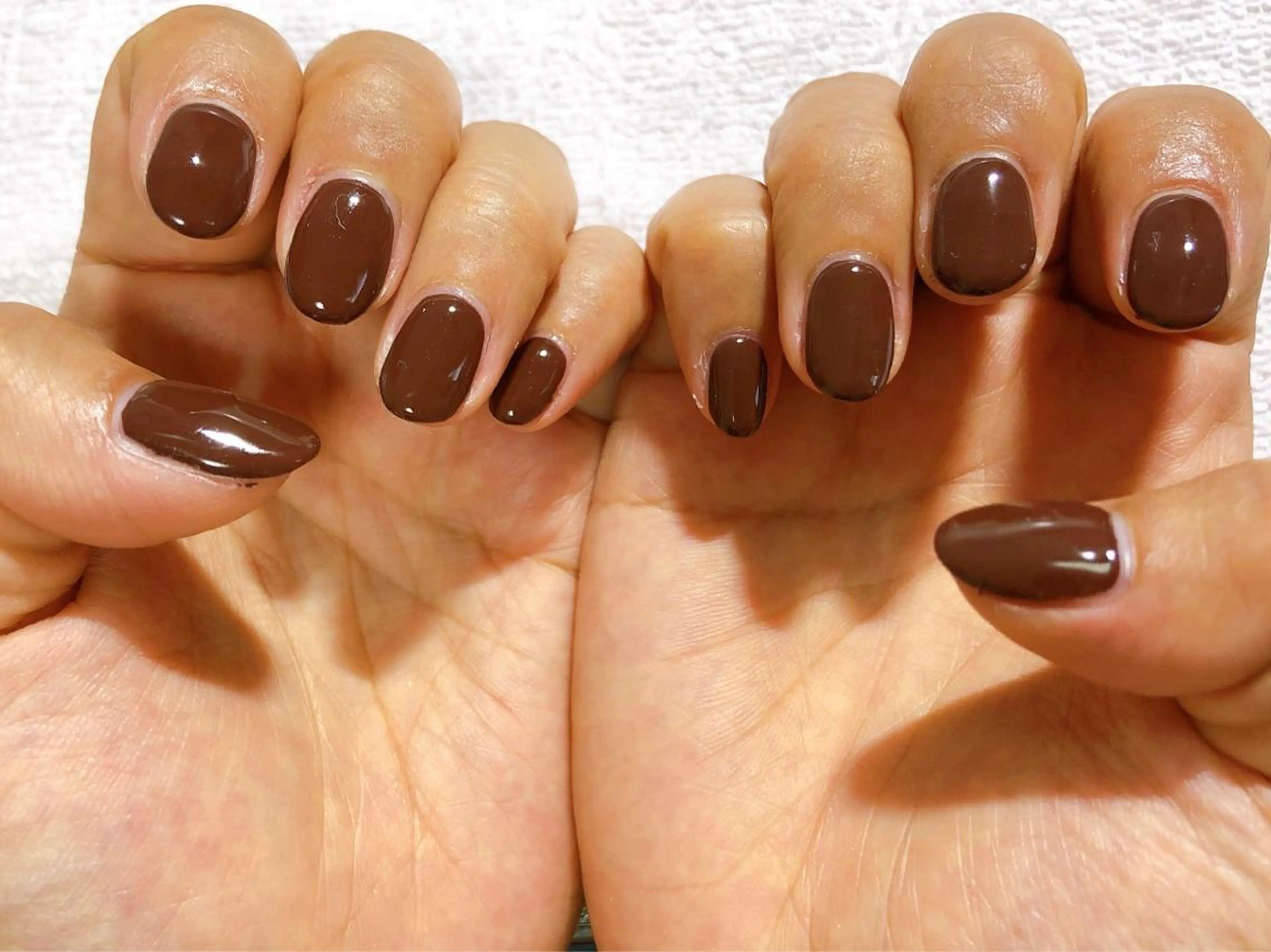 ワンカラーの写真