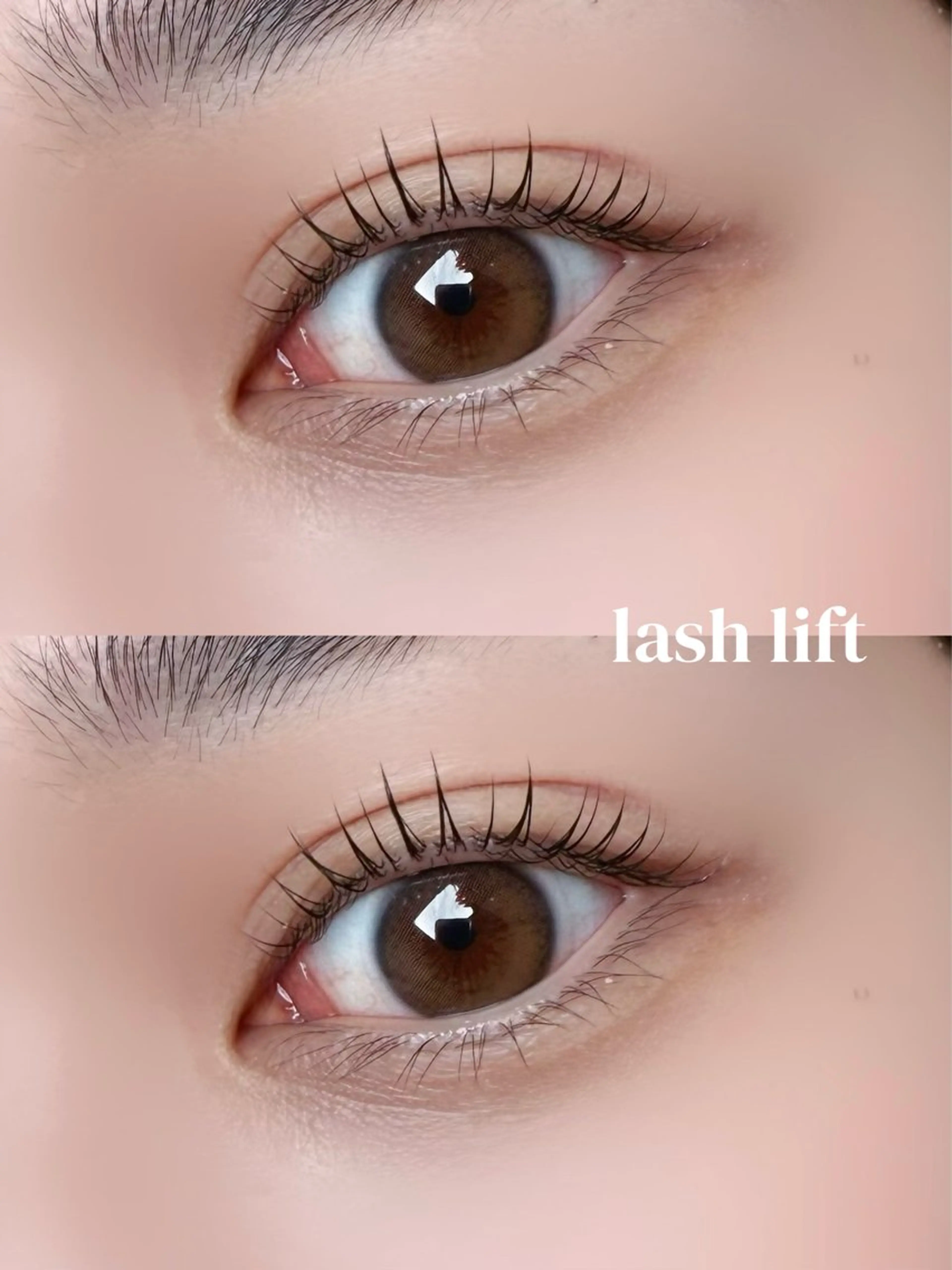 🌸4月平日限定🌸まつげパーマ(似合わせ)コーティング仕上げの写真