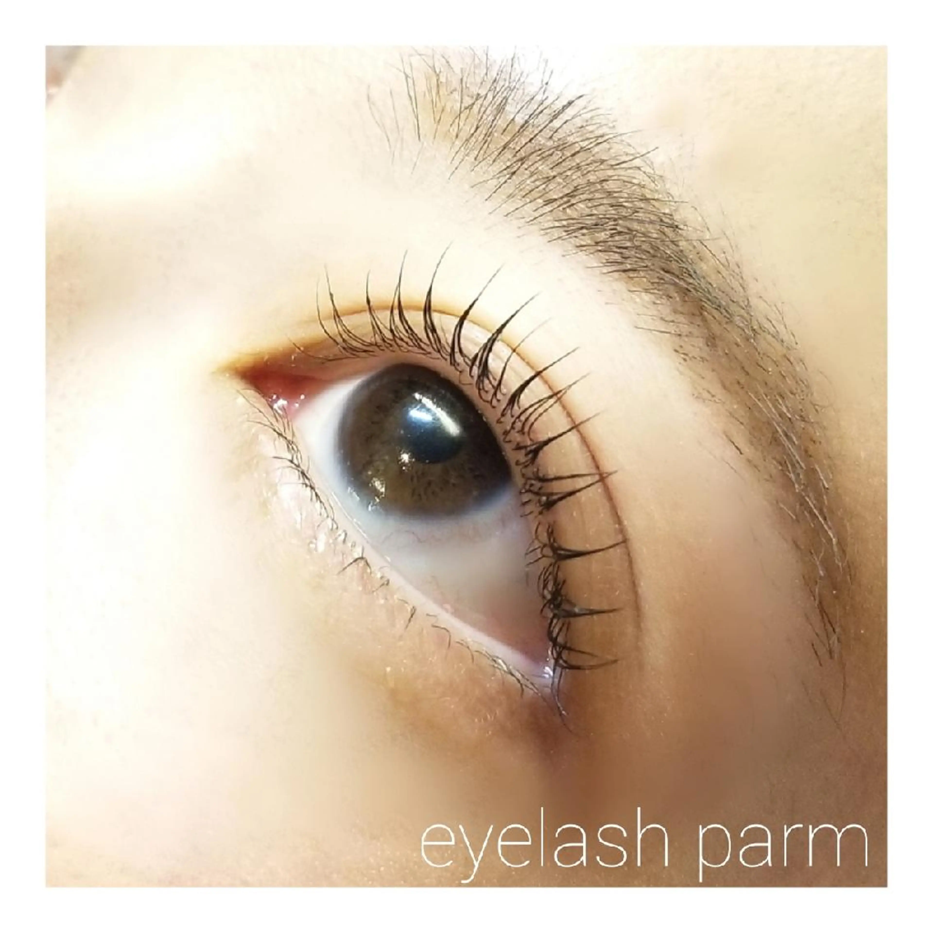 マツエク・マツパ 一重×まつ毛パーマ Loar 大出のマツエク・マツパデザイン