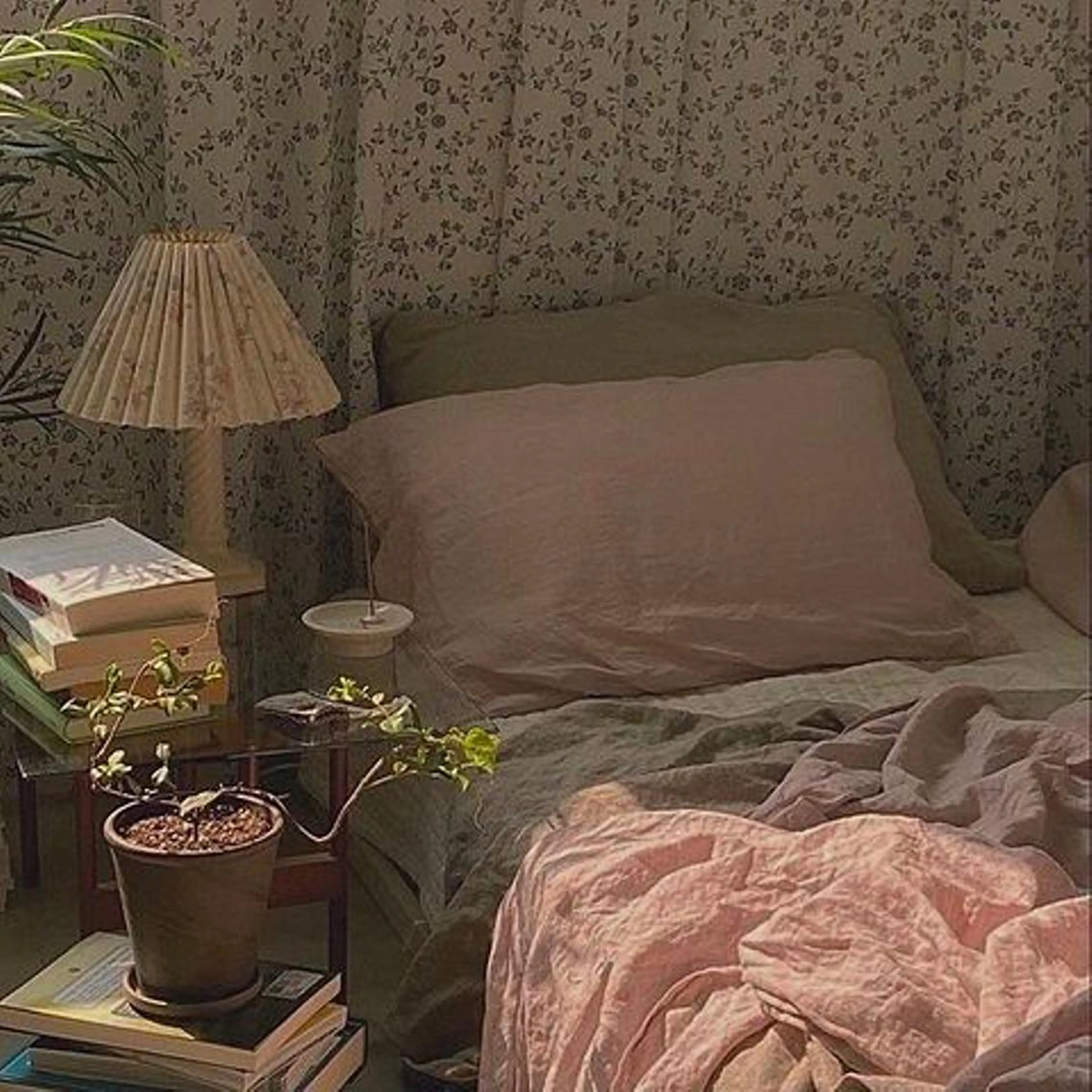 【 他店 】🌷ハンドオフのみ🌷の写真