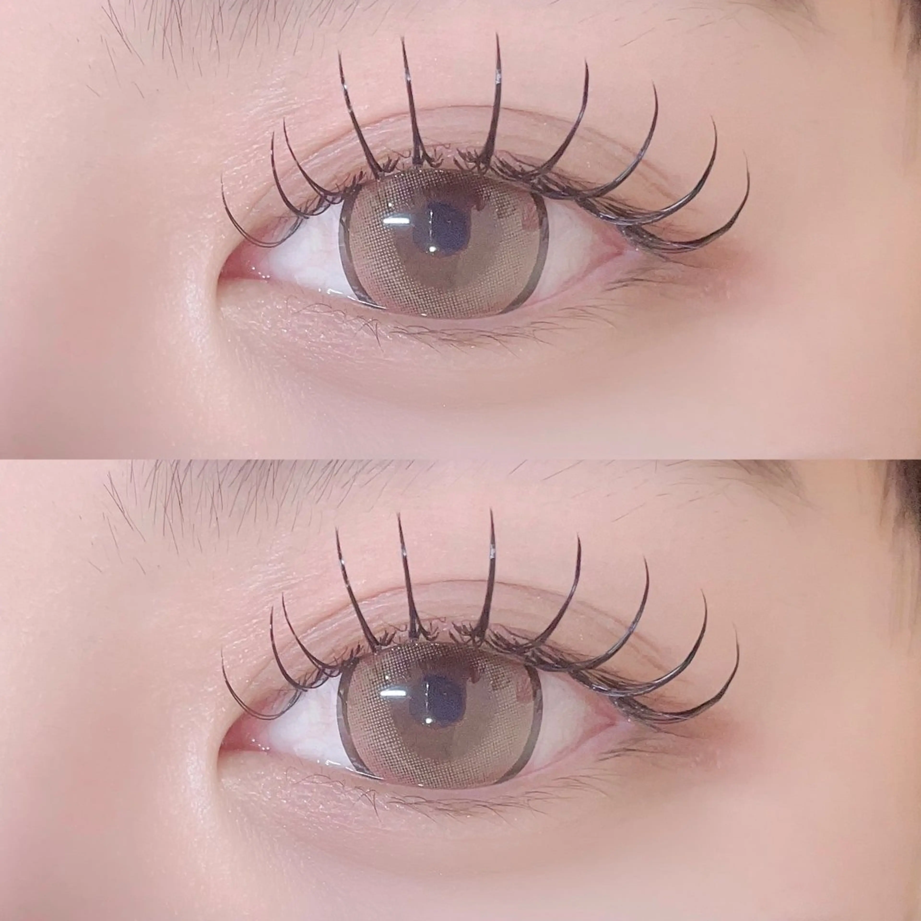 マツエク・マツパ Dカール フラットラッシュ ゴージャス マツエク 🦋束感/LEDエク Hibiki🦋のマツエク・マツパデザイン