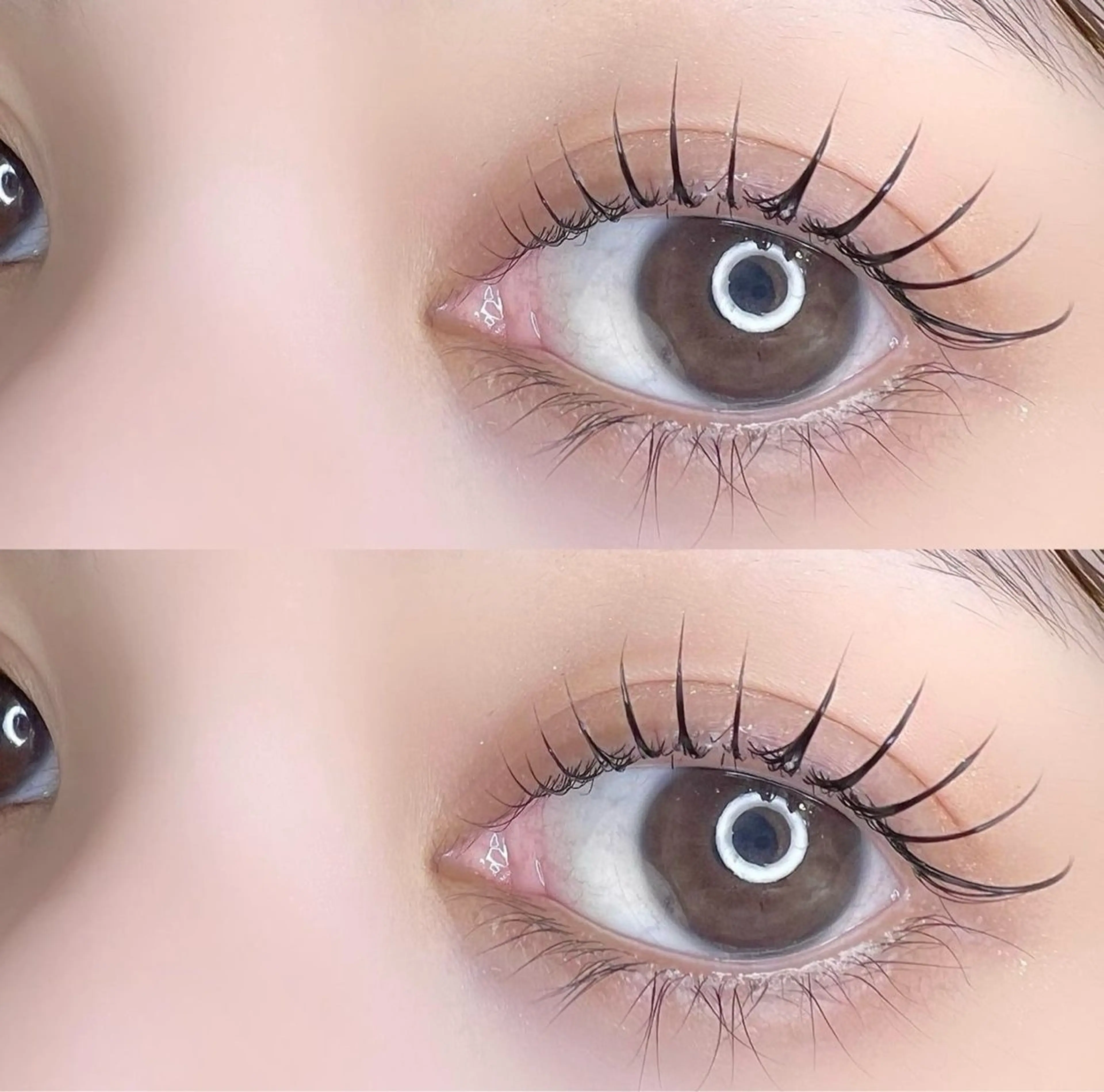 【再来】パリジェンヌorラッシュリフト💫2月より再来の方お値段変更させていただいております！の写真