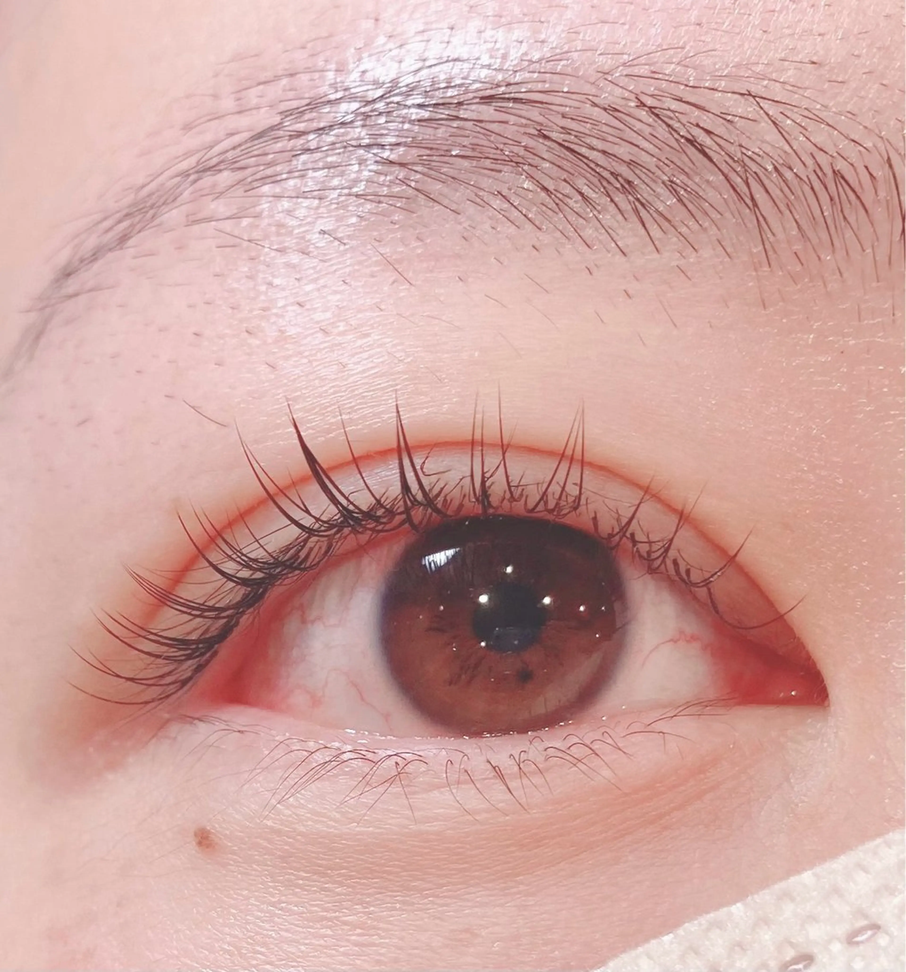 マツエク・マツパ LASH BAR所属・LASH BAR🫧 天王寺のマツエク・マツパデザイン