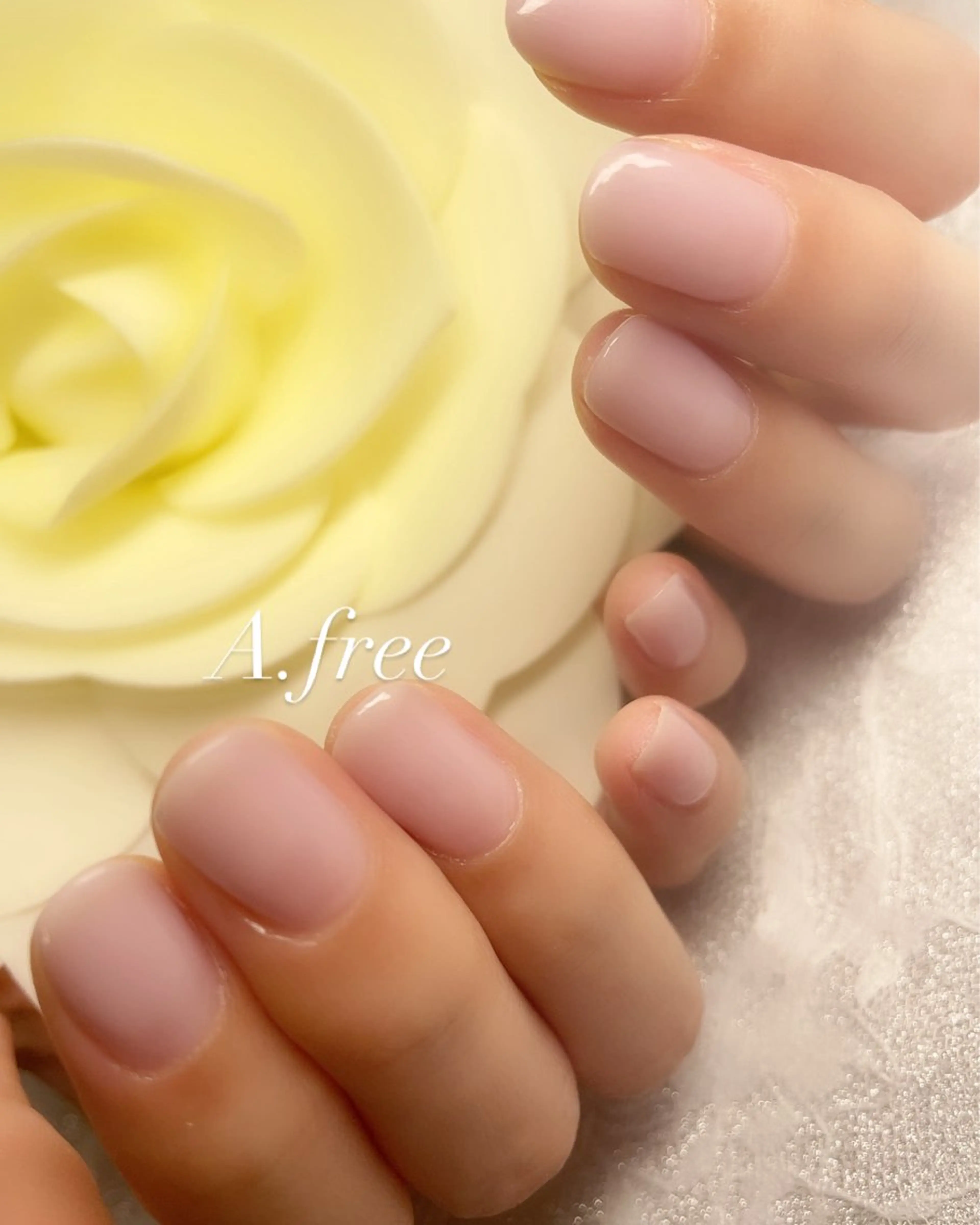 ワンカラー(2色まで)✨【他店オフあり】の写真