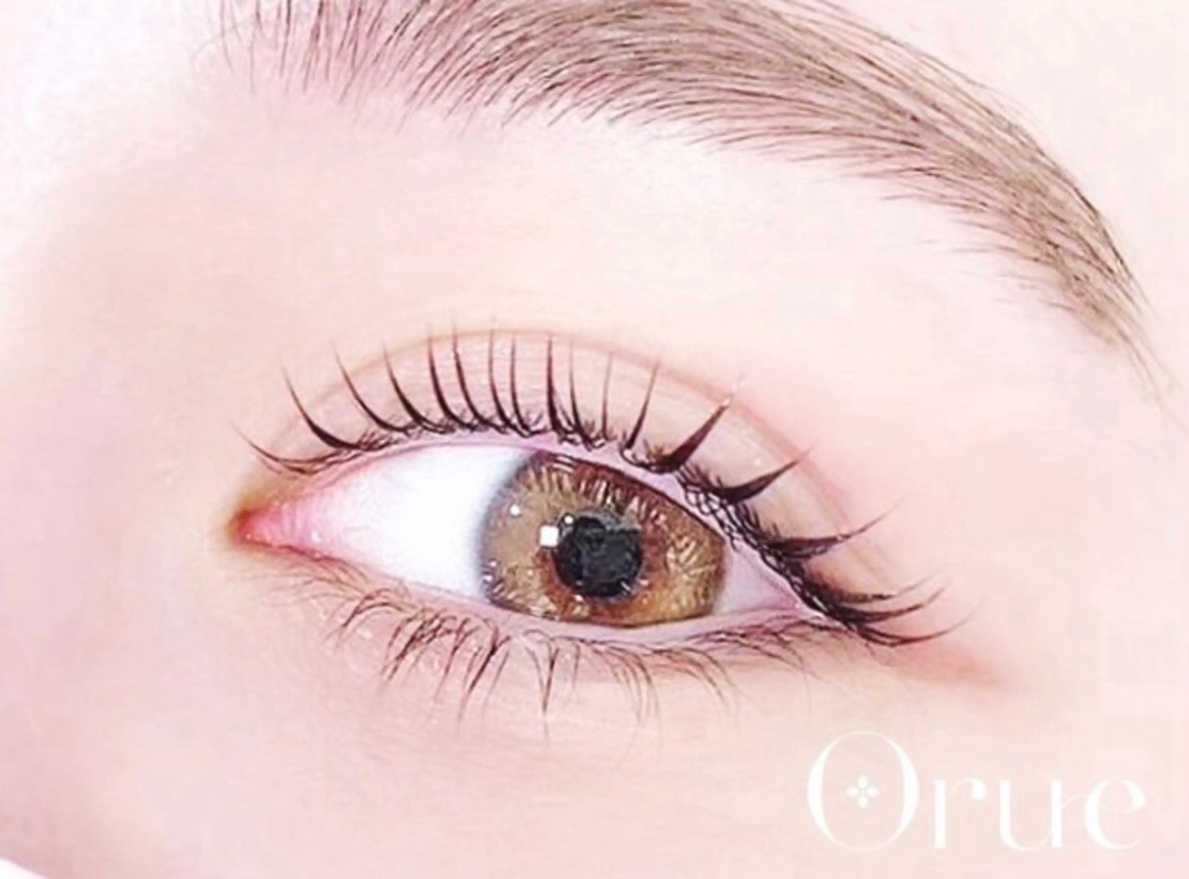 【口コミ割★期間限定】メーテルラッシュリフトの写真