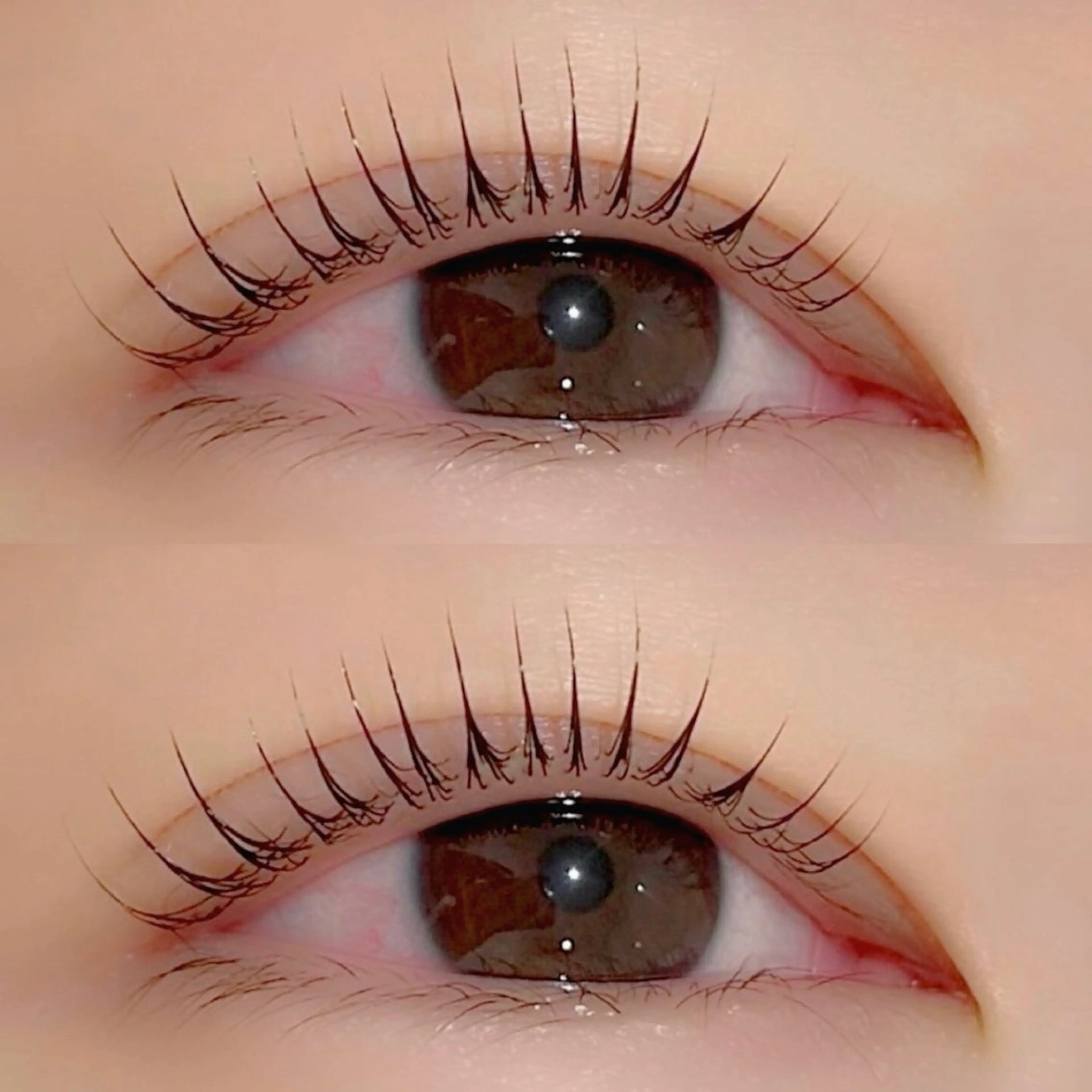 マツエク・マツパ マツパ 京橋🦋LEDマツエ ク&まつ毛パーマのマツエク・マツパデザイン