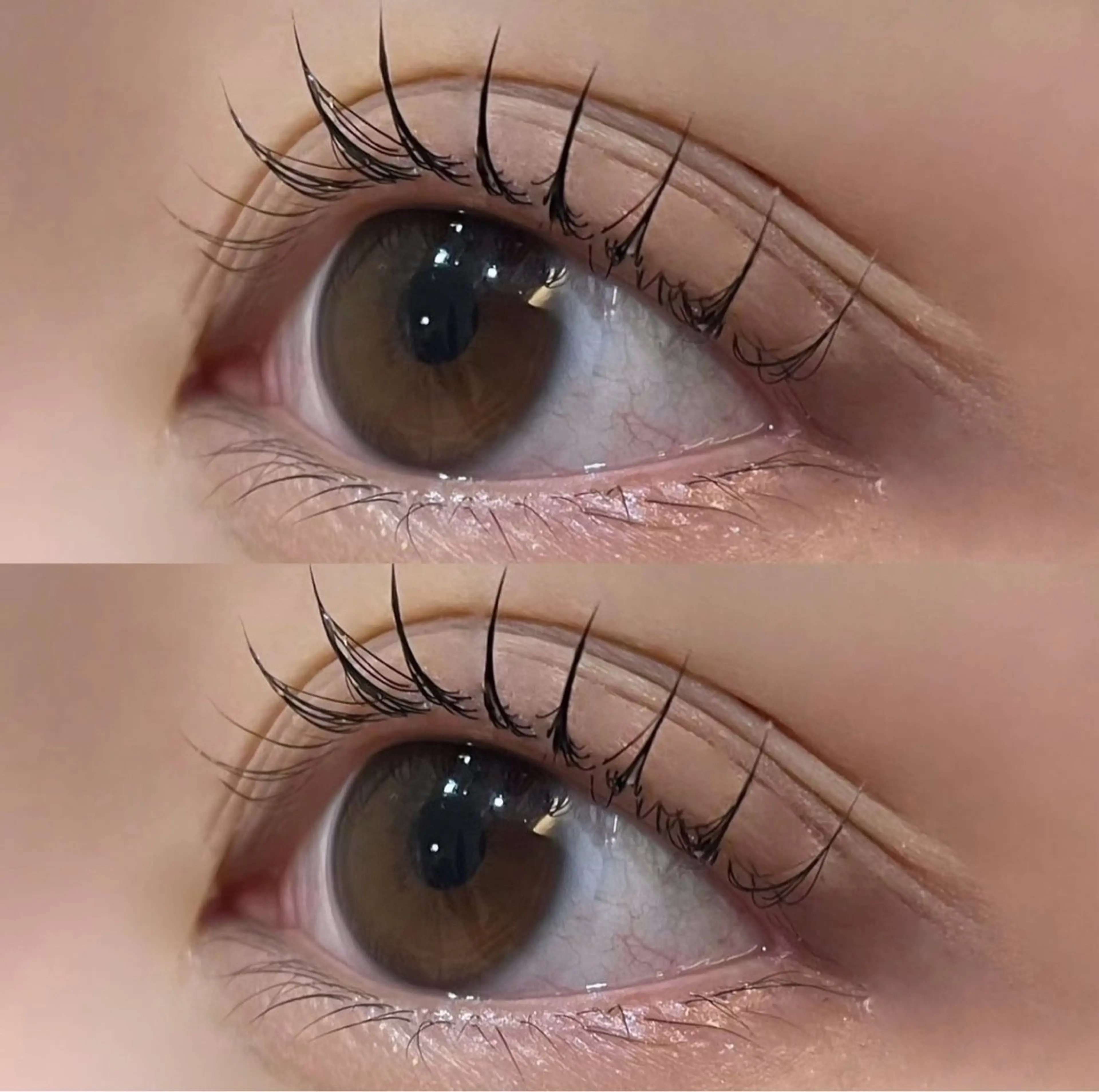 マツエク・マツパ パリジェンヌラッシュリフト eve🐰束間まつ毛 /透明感カラーのヘアスタイル