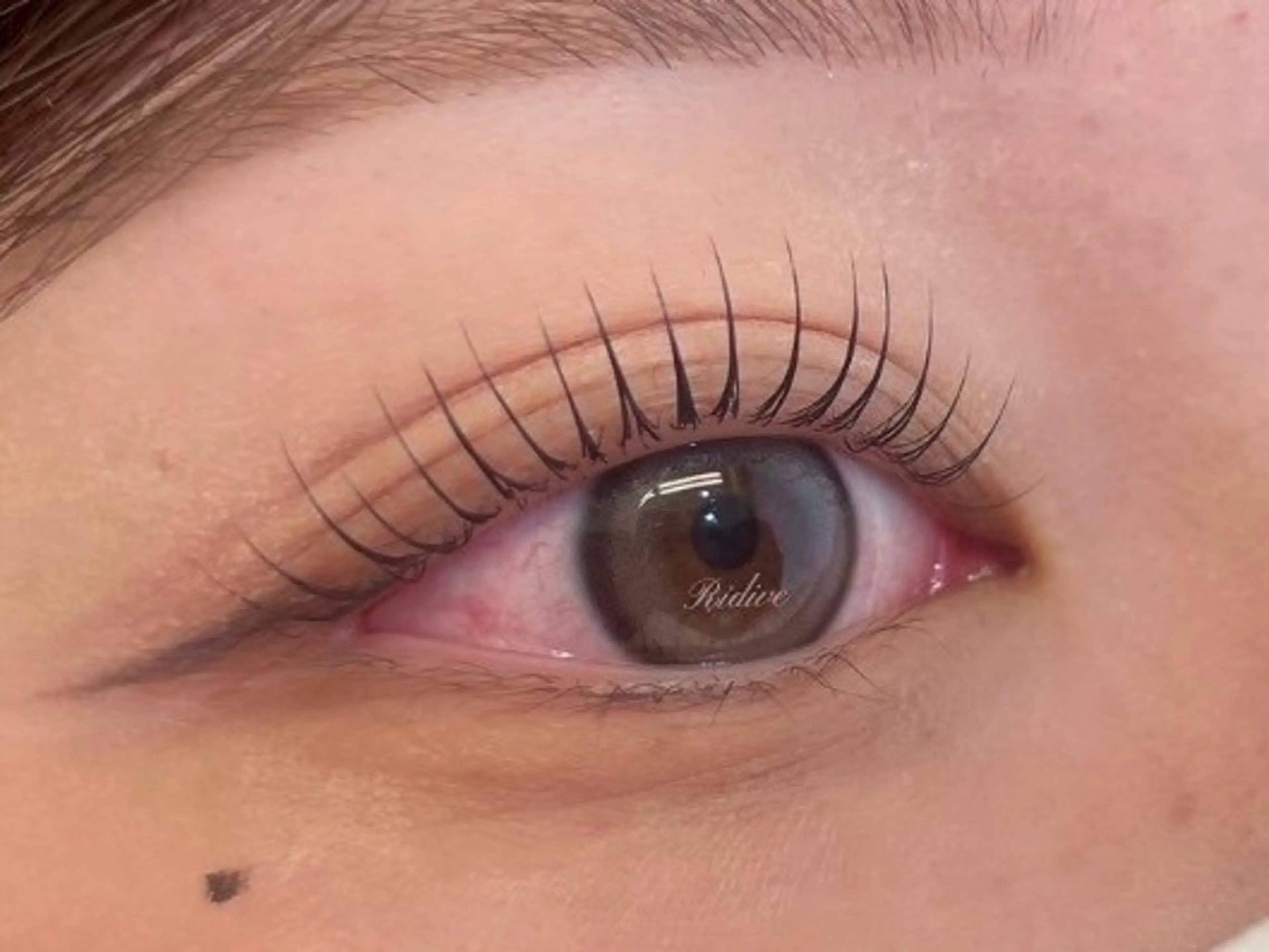 マツエク・マツパ アイブロウサロンRidive【吉祥寺所属・Ridive Ruiの眉毛・アイブロウイメージ