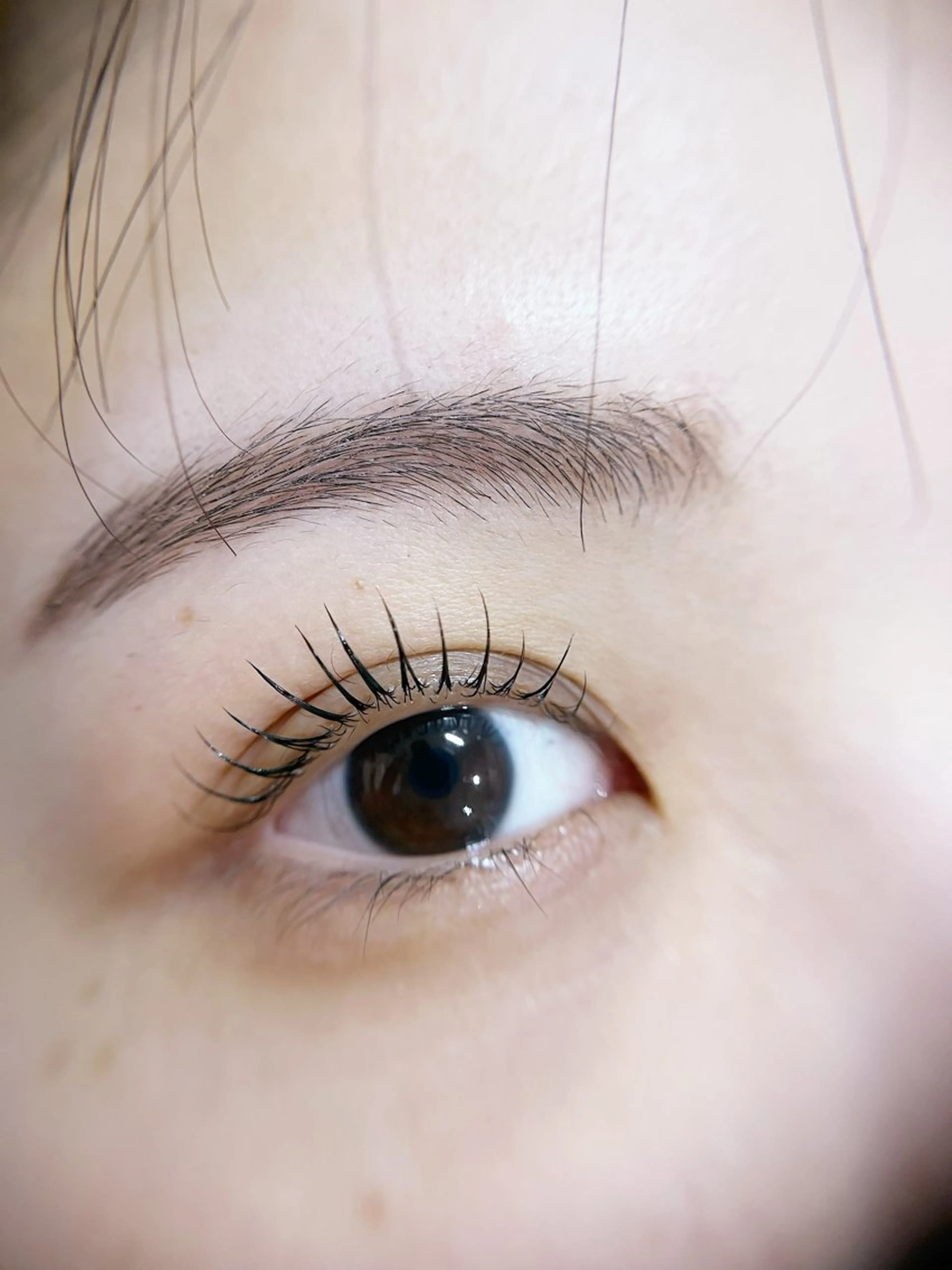 マツエク・マツパ マツパ -Ojiー セナのマツエク・マツパデザイン