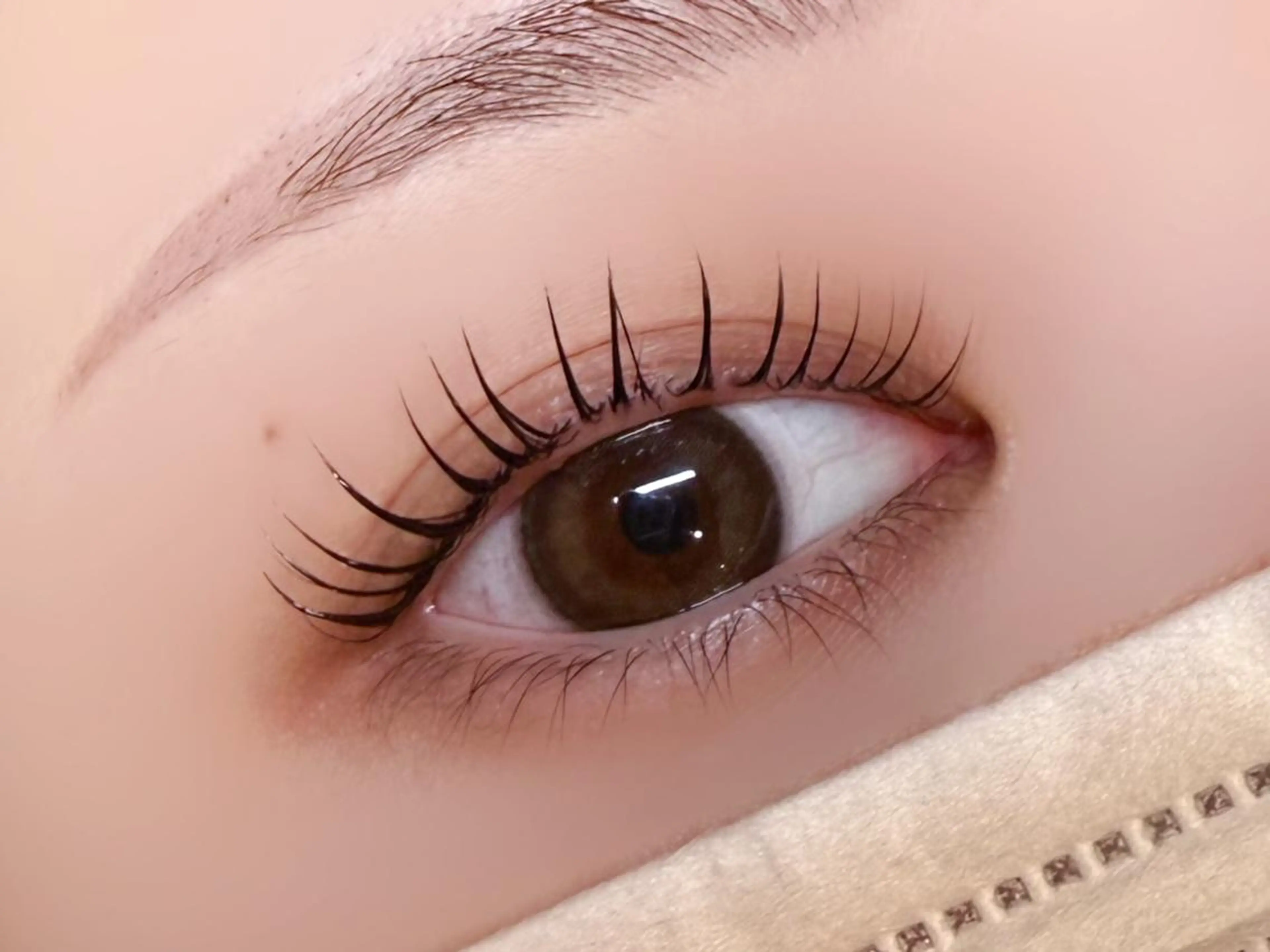 マツエク・マツパ マツパ jessica / 平野🪄︎︎◝✩の眉毛・アイブロウイメージ