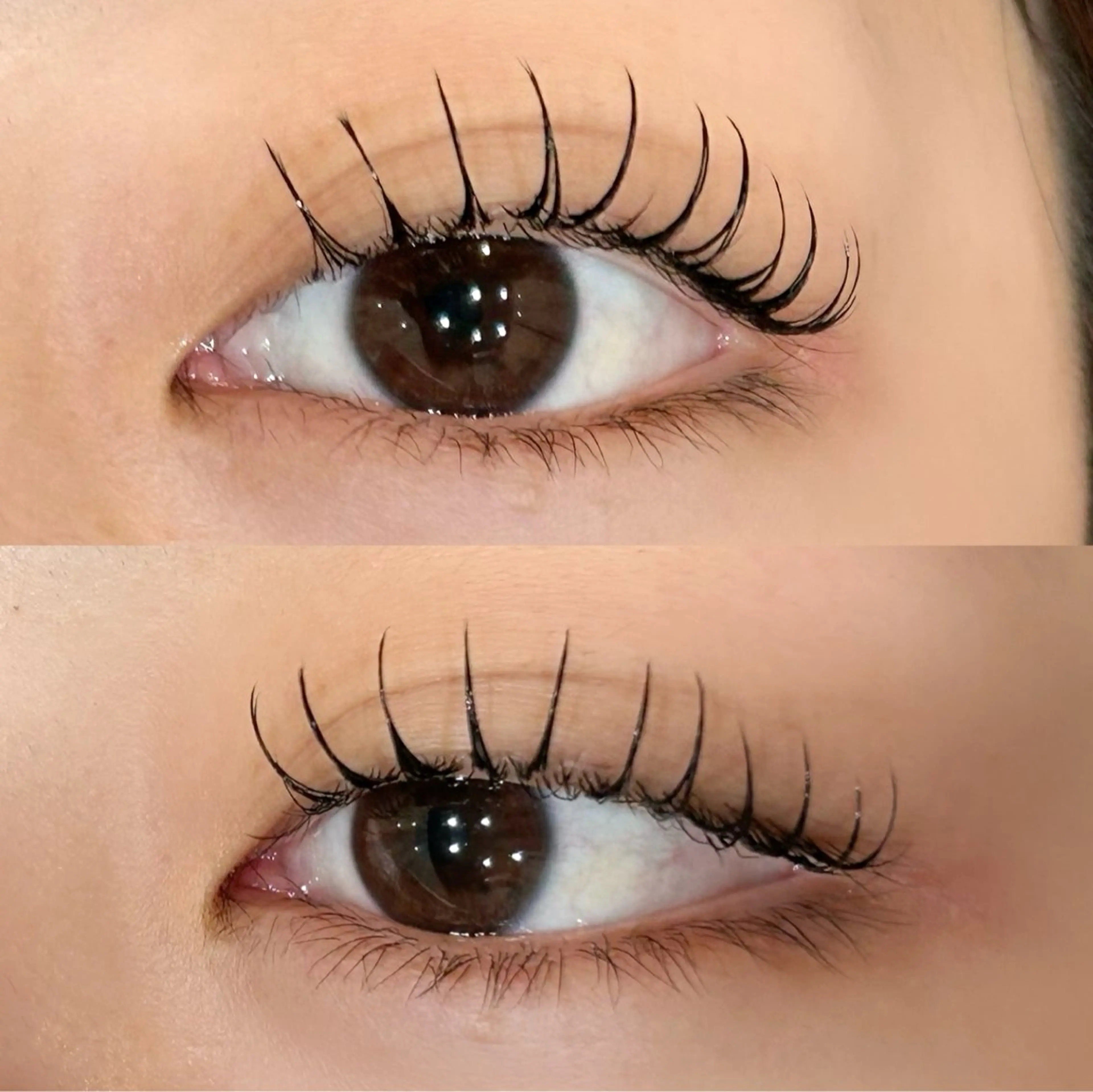 マツエク・マツパ KIMOTO 🐈‍⬛🤍のマツエク・マツパデザイン