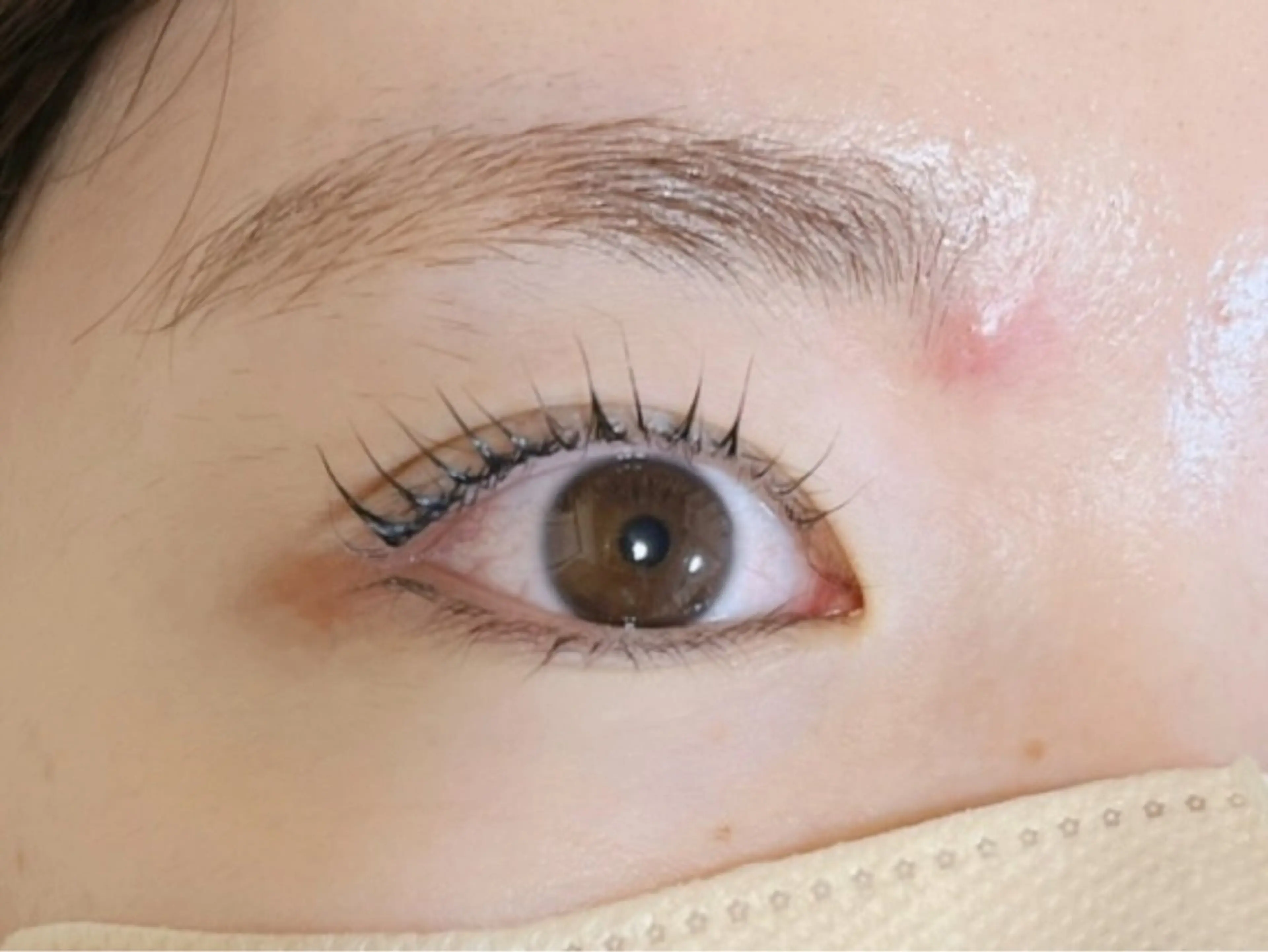 マツエク・マツパ マツパ エアルネイル&アイラッシュ所属・エアル ネイル&アイラッシュのマツエク・マツパデザイン