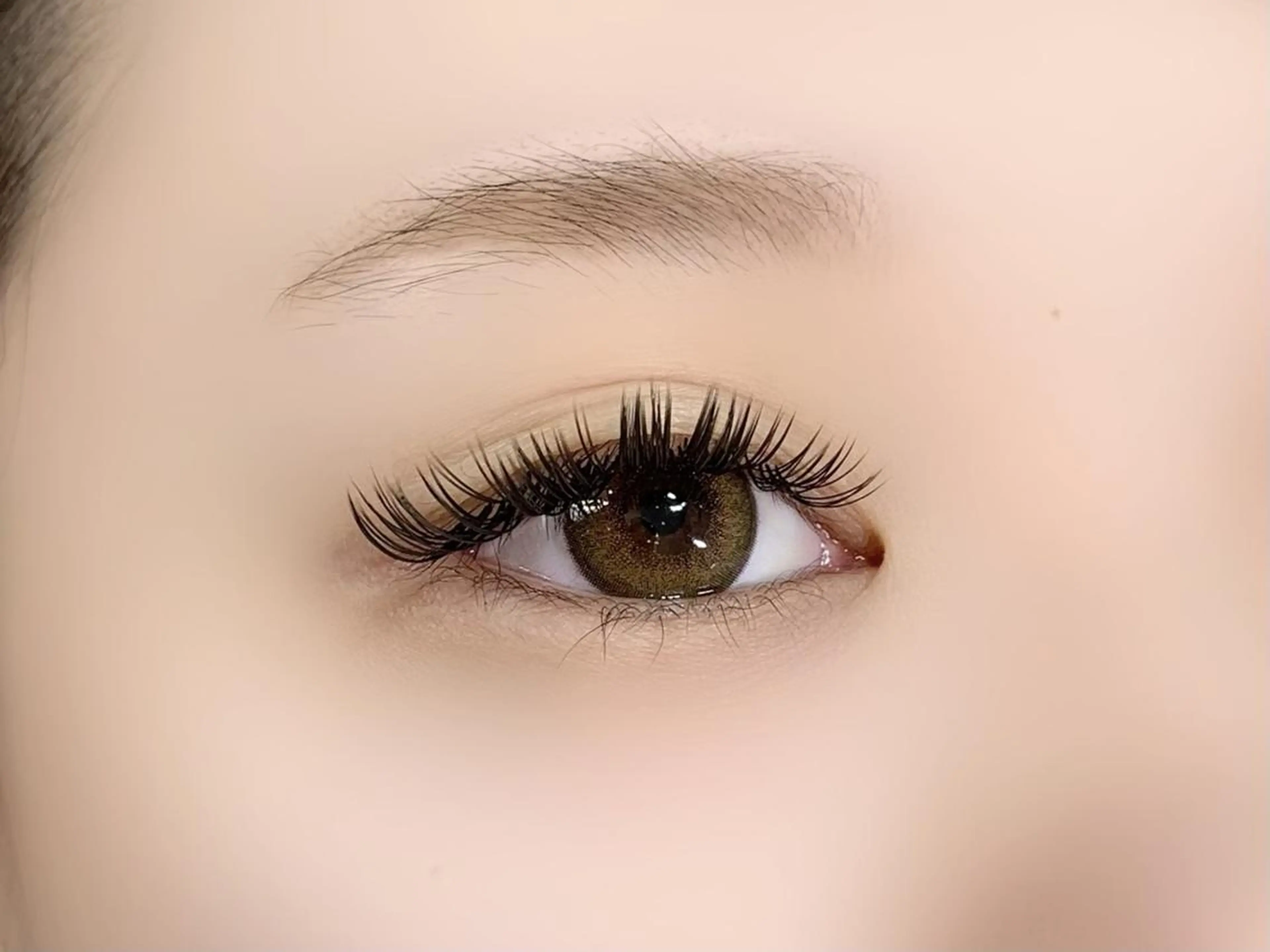 《プレミアムセーブル》140本 ナチュラルボリューム ★の写真