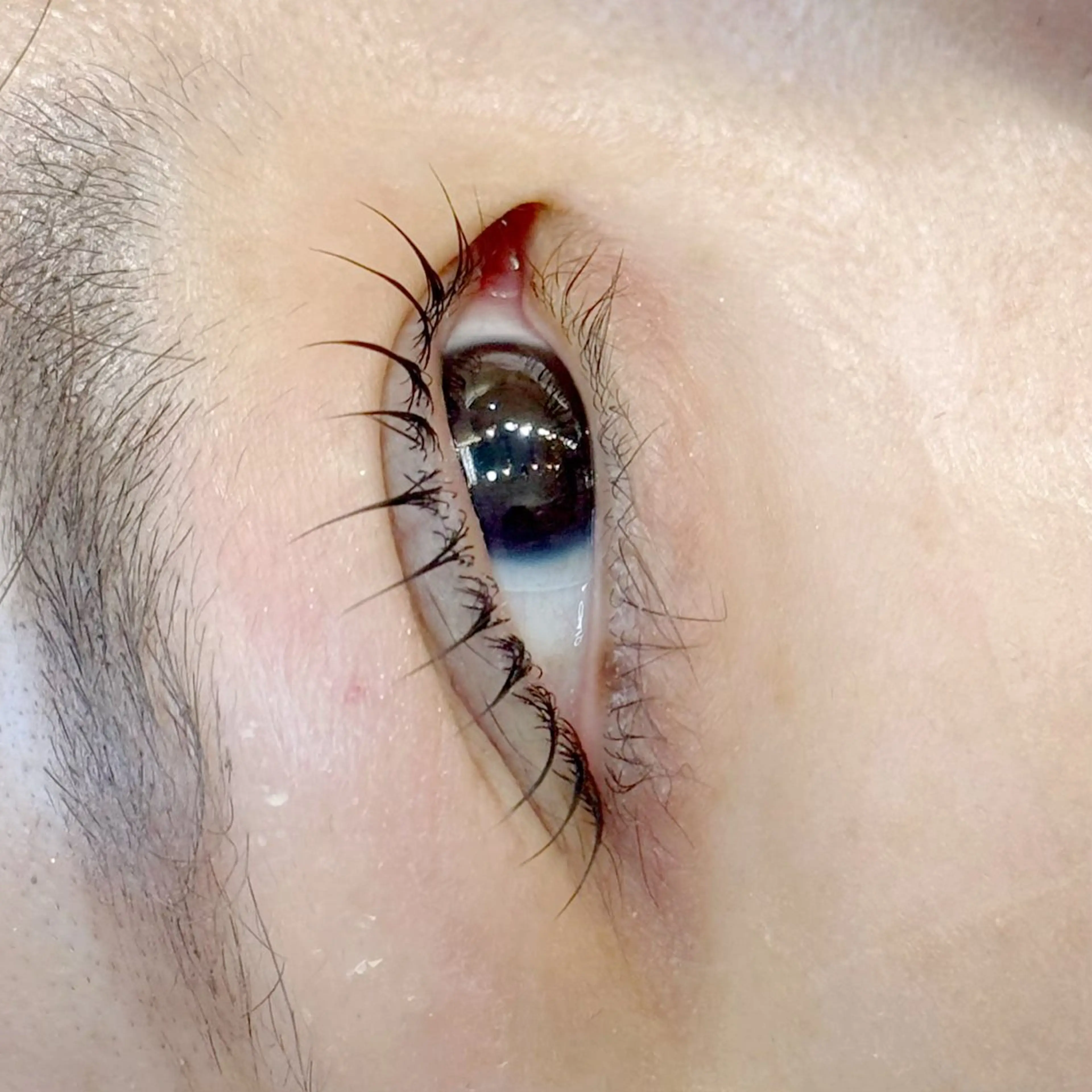 マツエク・マツパ マツパ miina by m.o.d所属・𝙇𝙪𝙣𝙖 ⟡ アイリストのマツエク・マツパデザイン