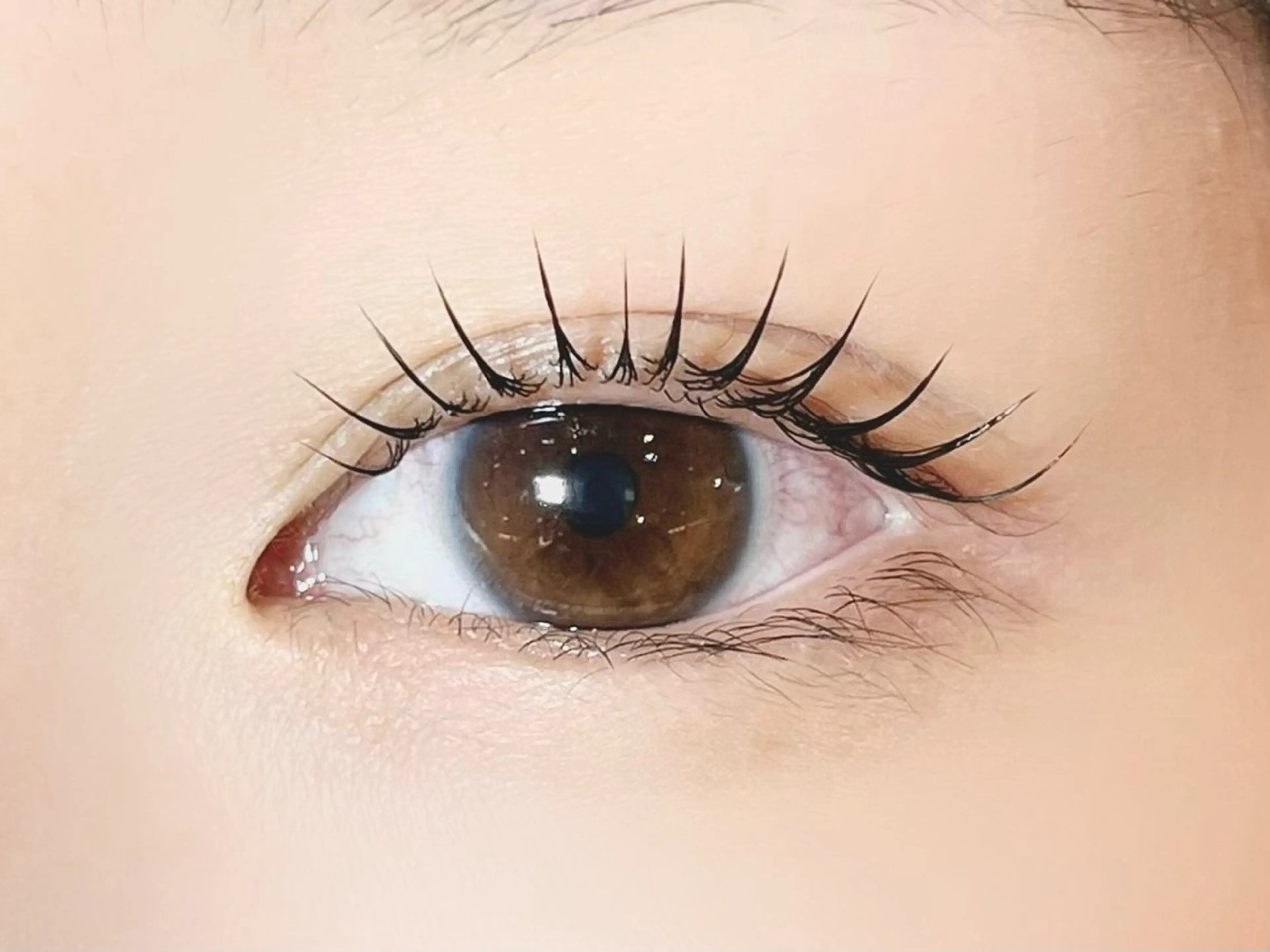 マツエク・マツパ 束感まつ毛 sola: neolive熊田のマツエク・マツパデザイン