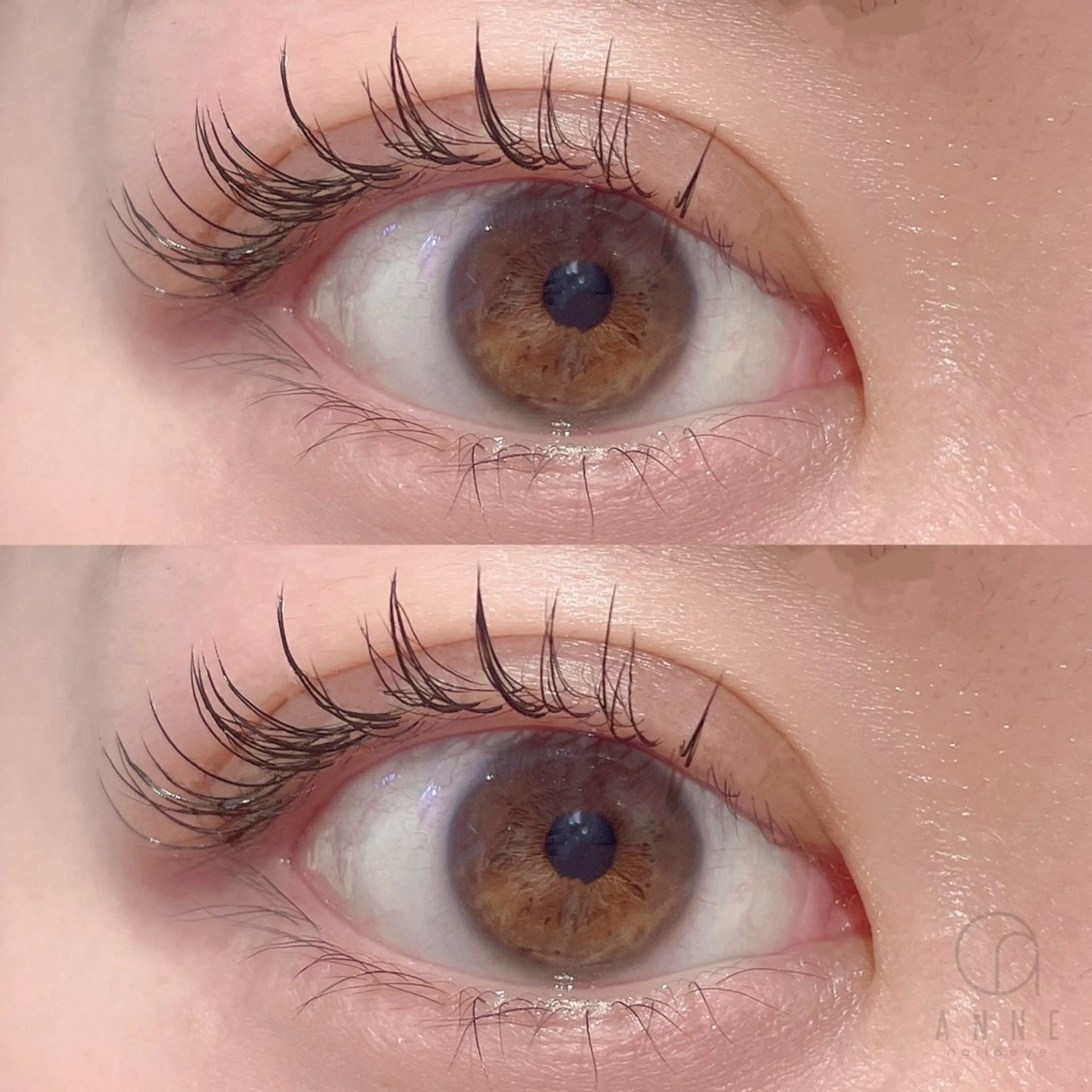 講師経験あり！〔初回オフ込み〕高級セーブル100本の写真