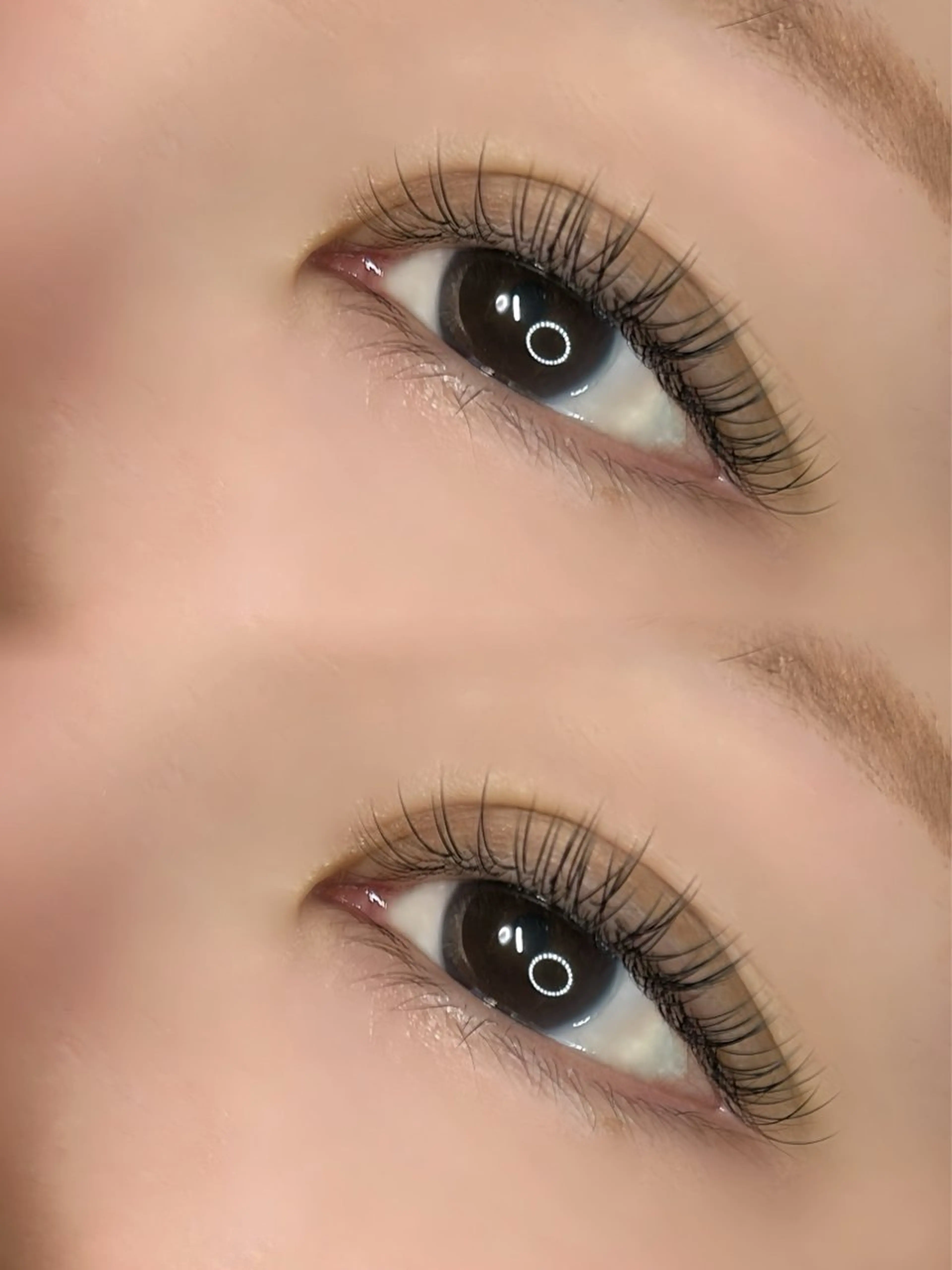 【ミニモ限定】【期間限定】フラットラッシュ100本の写真